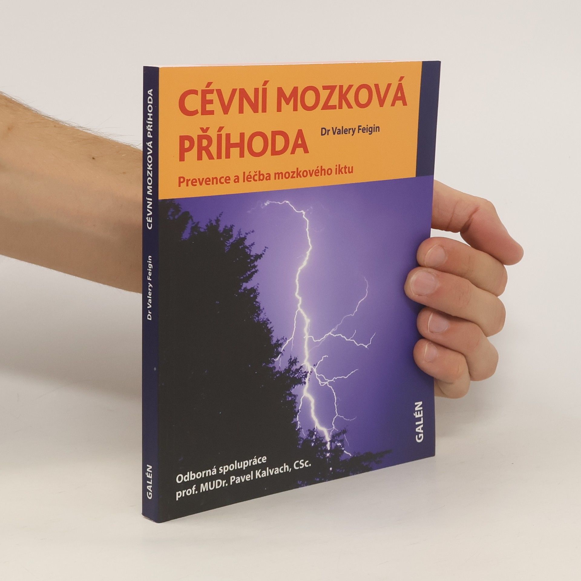 Valery L. Feigin Cévní mozková příhoda - Prevence a léčba mozkového iktu