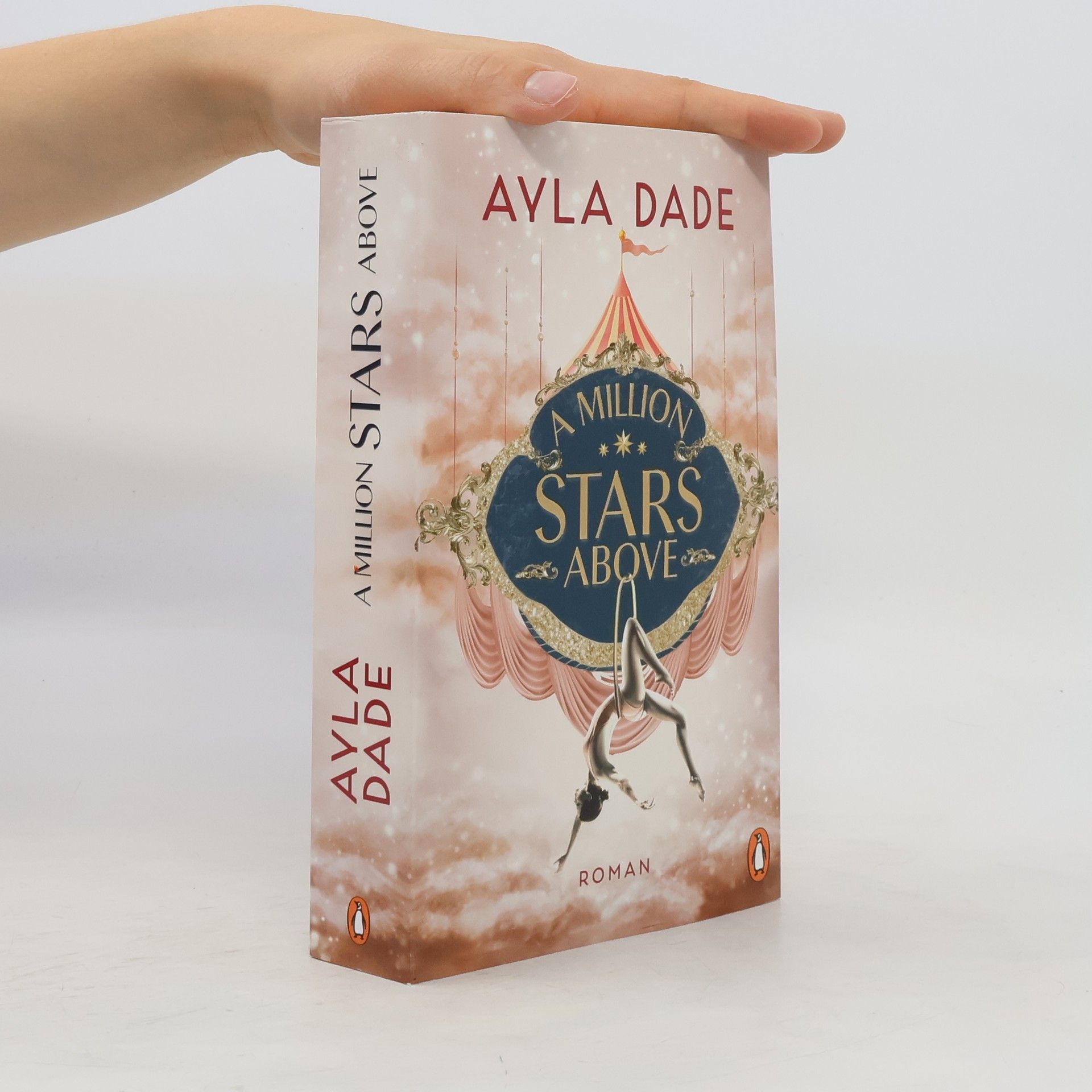 Ayla Dade A Million Stars Above / Sky Circus Bd.1