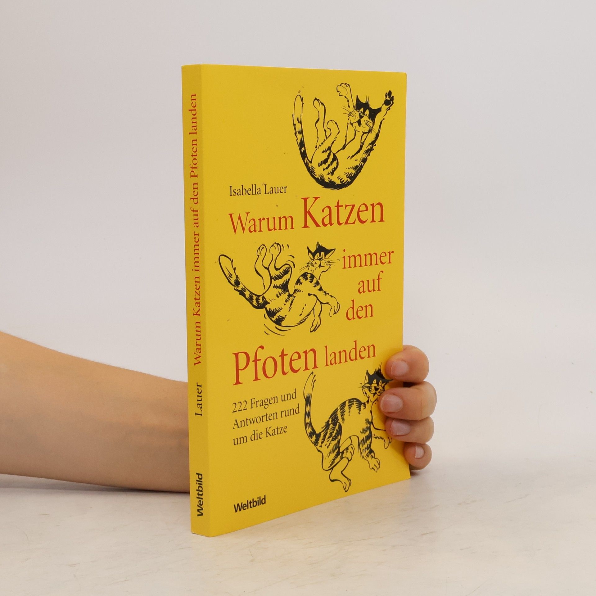 Isabella Lauer Warum Katzen immer auf den Pfoten landen