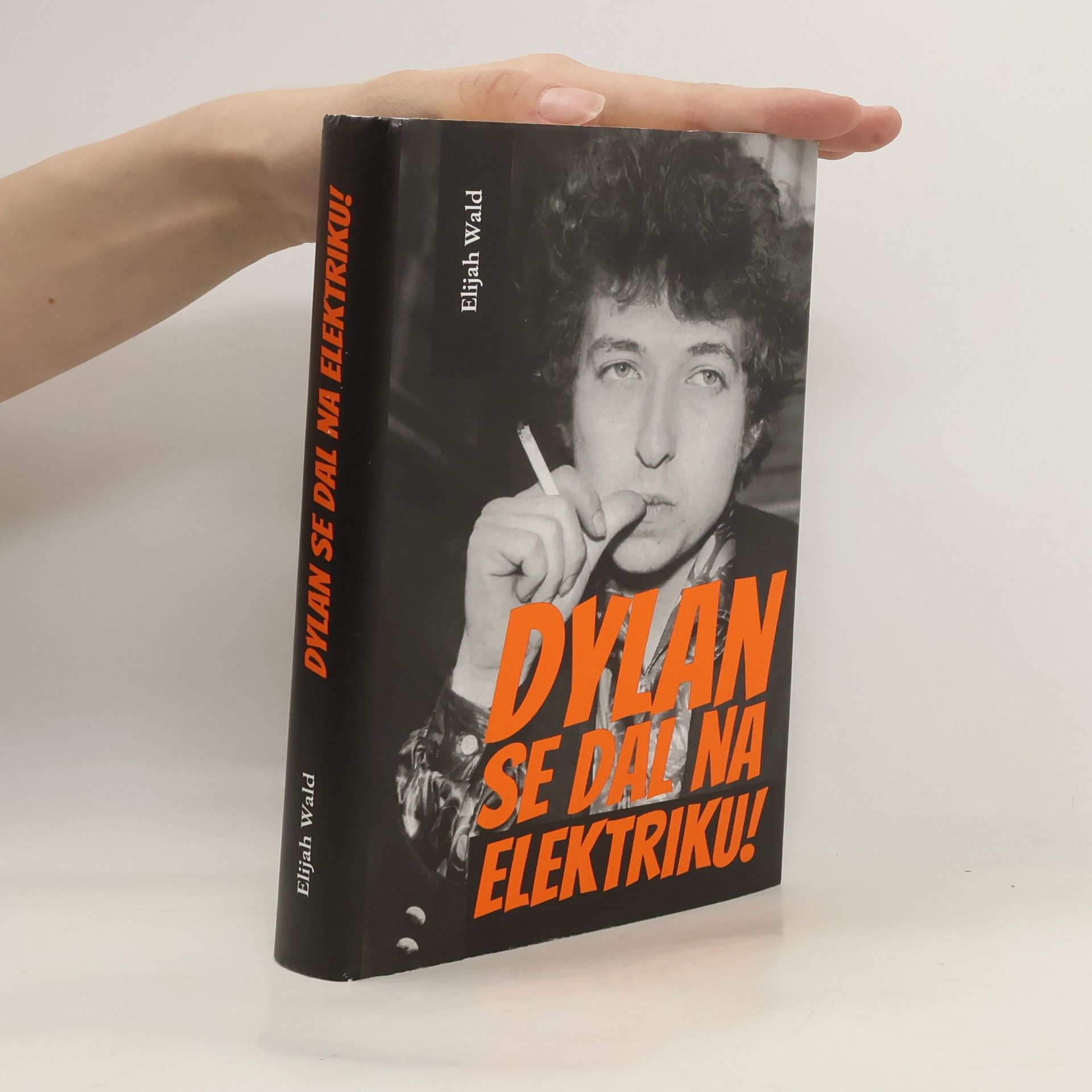 Elijah Wald Dylan se dal na elektriku!
