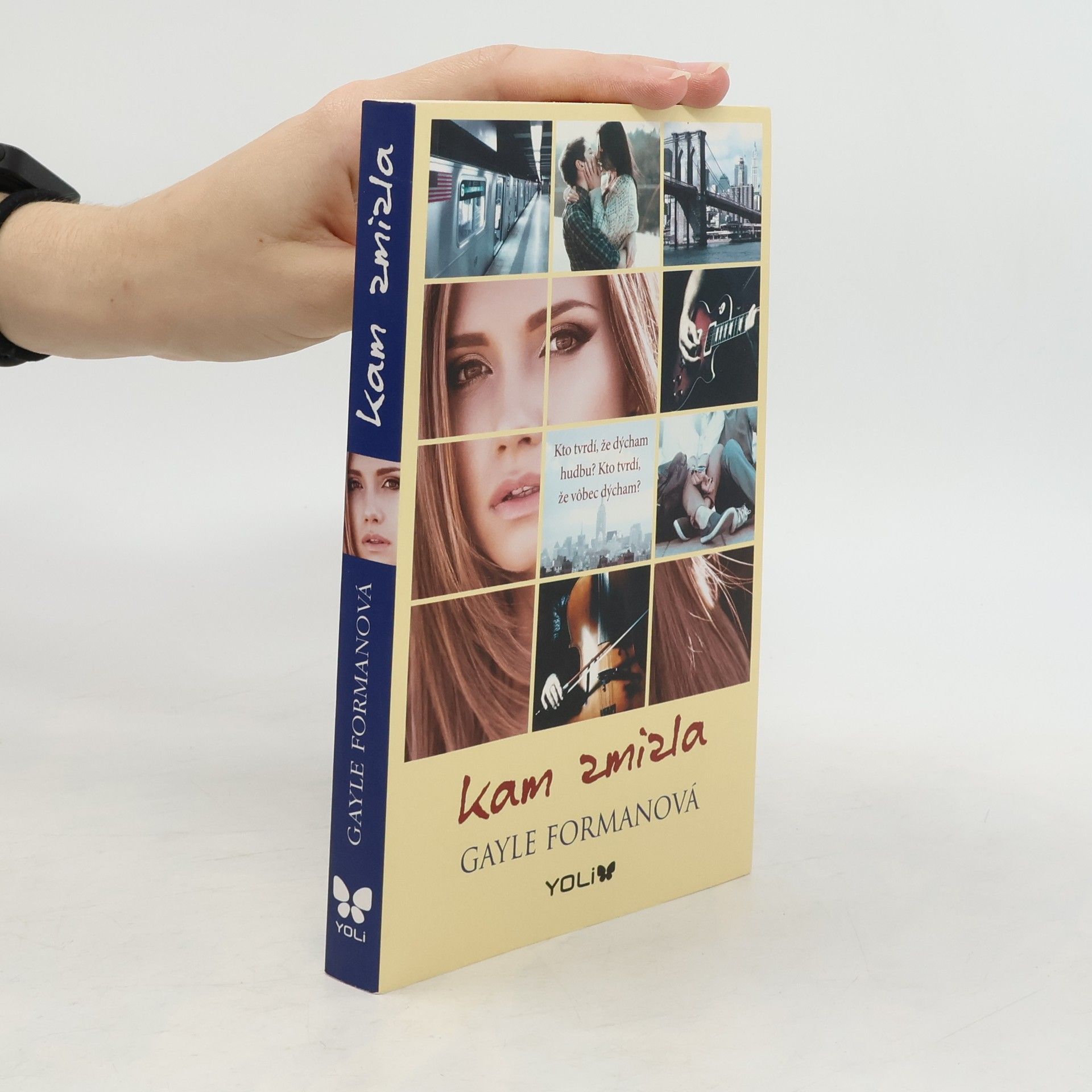 Gayle Forman Kam zmizla