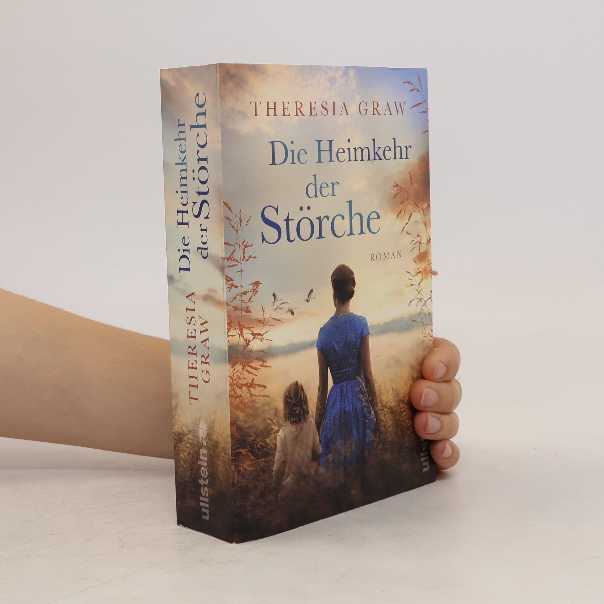 Theresia Graw Die Heimkehr der Störche