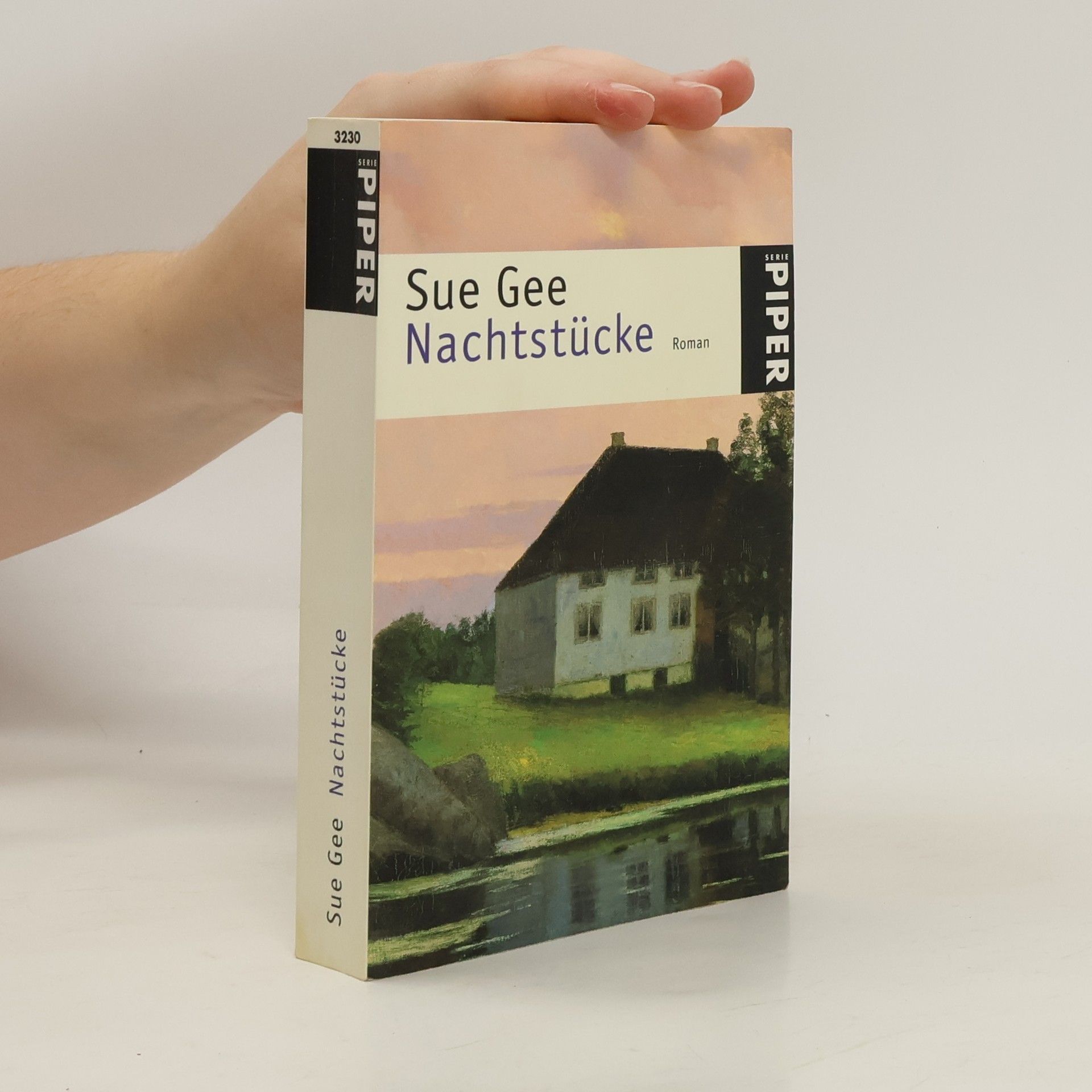 Sue Gee Nachtstücke