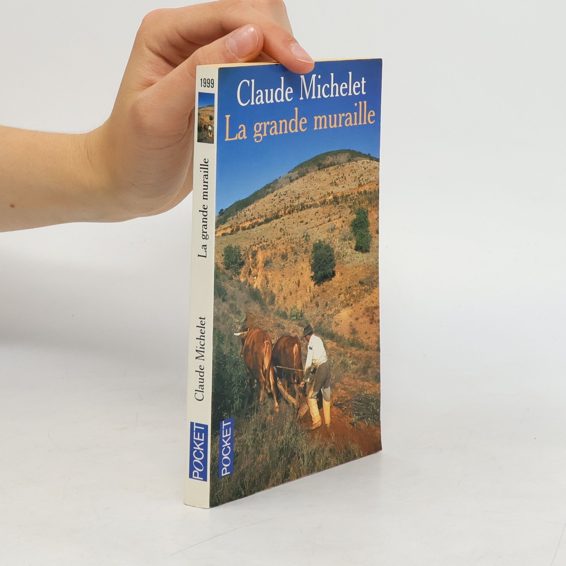 Claude Michelet La grande muraille