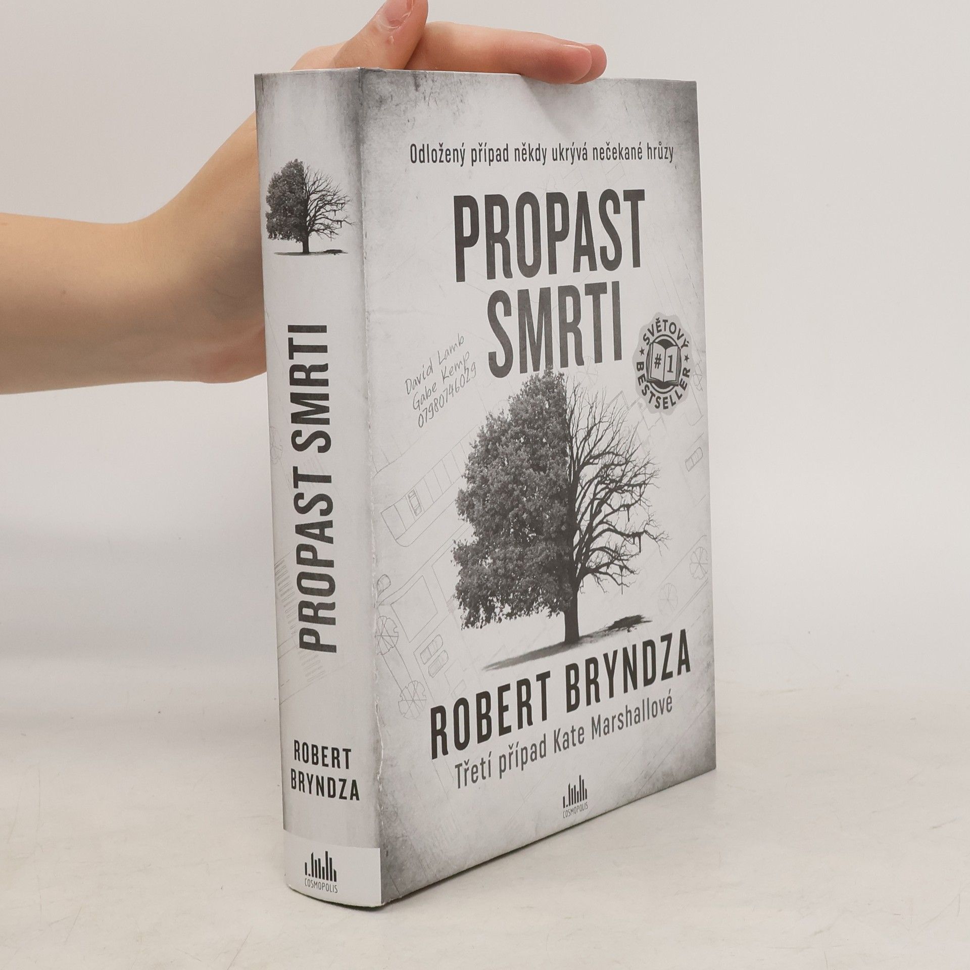 Robert Bryndza Propast smrti