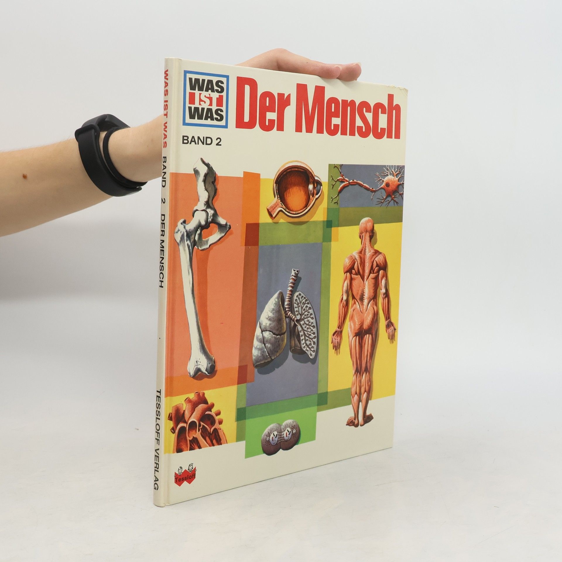 Signe Seiler Der Mensch