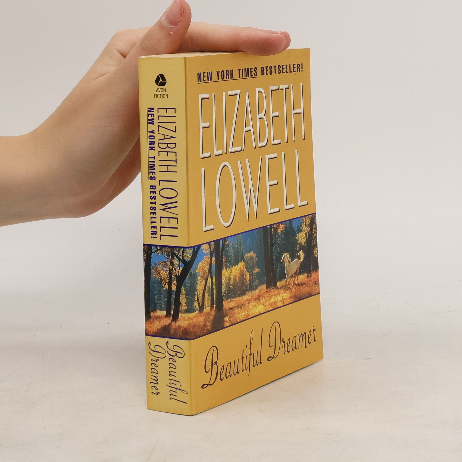Elizabeth Lowell Beautiful Dreamer