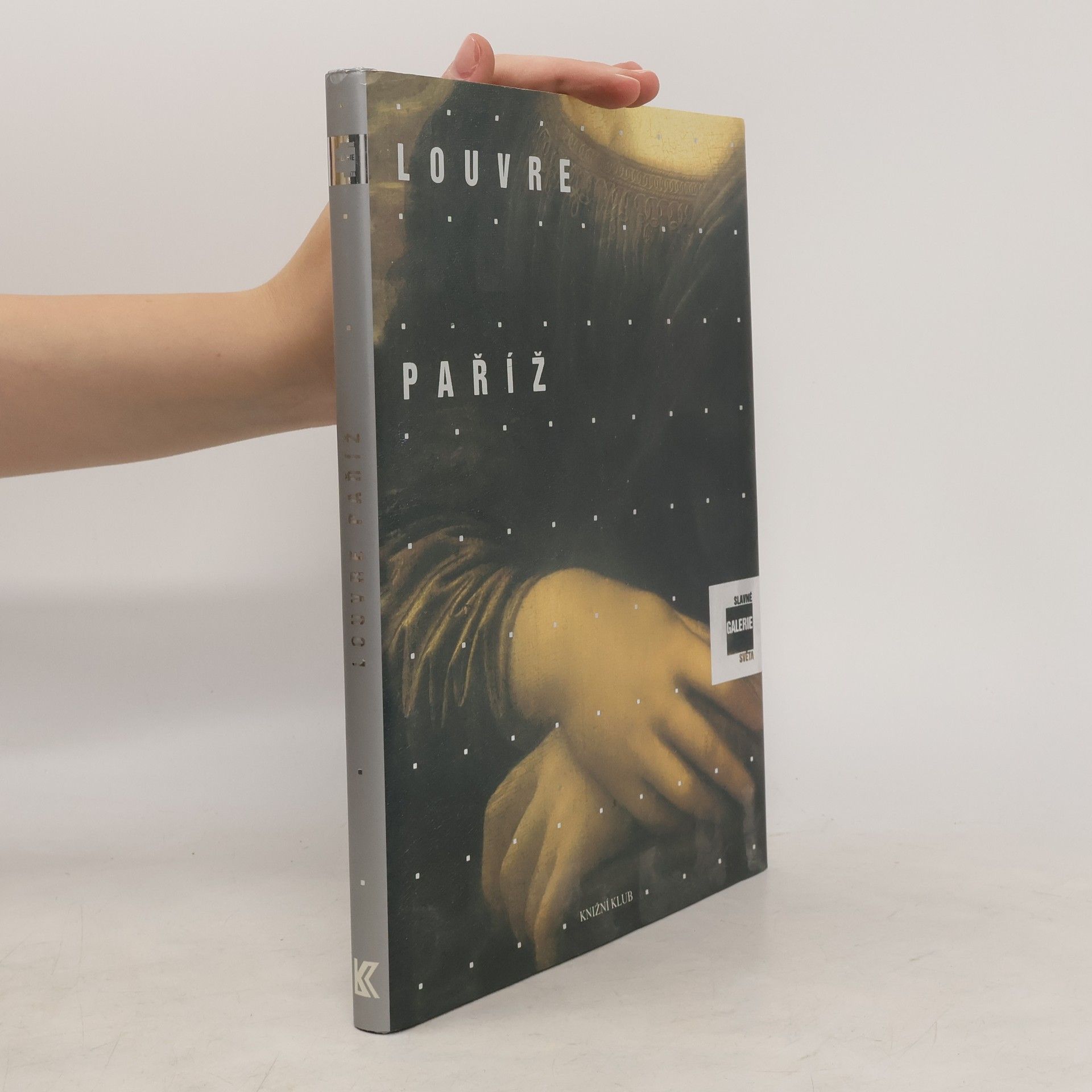 Alessandra Fregolent Slavné galerie světa. Louvre - Paříž