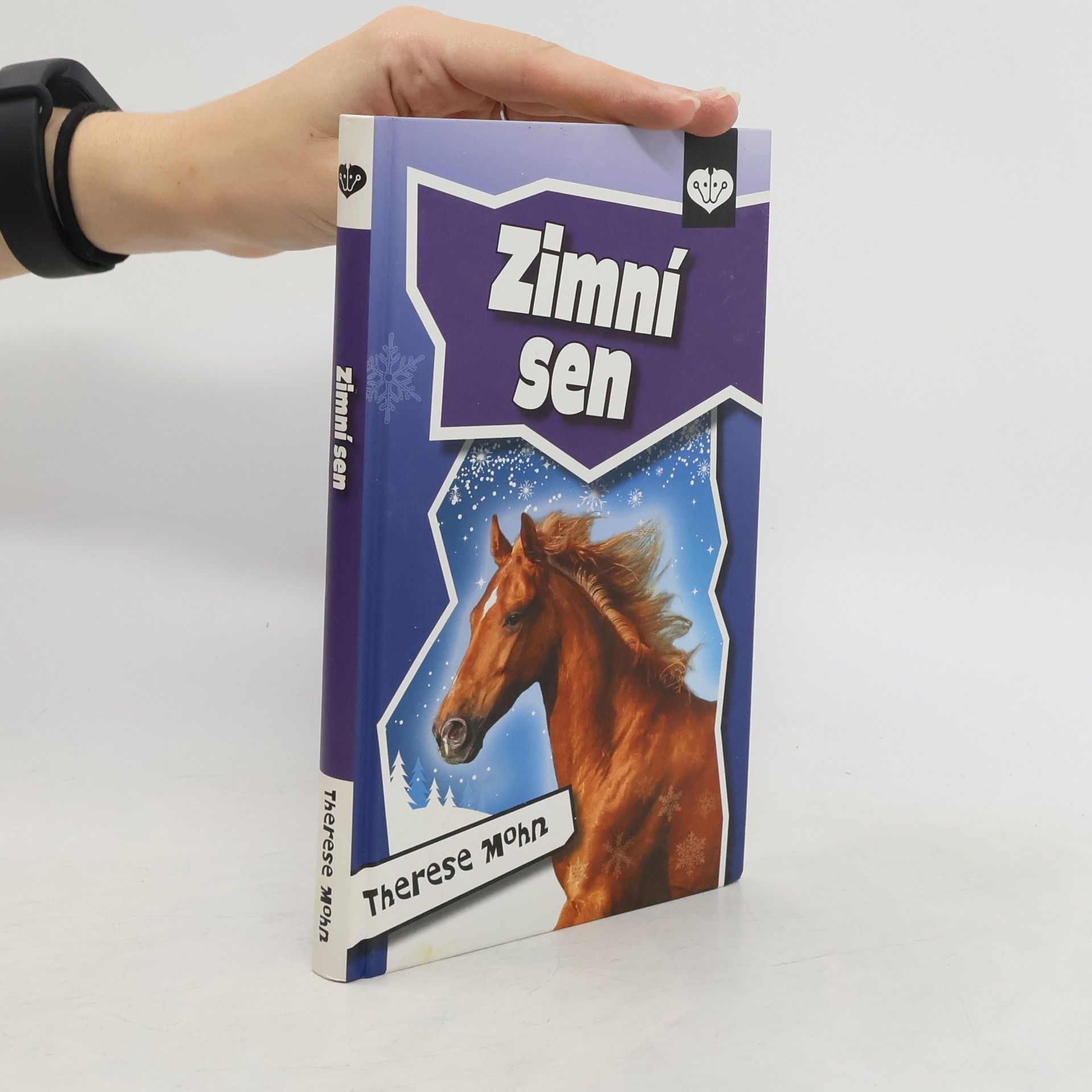 Therese Mohn Zimní sen
