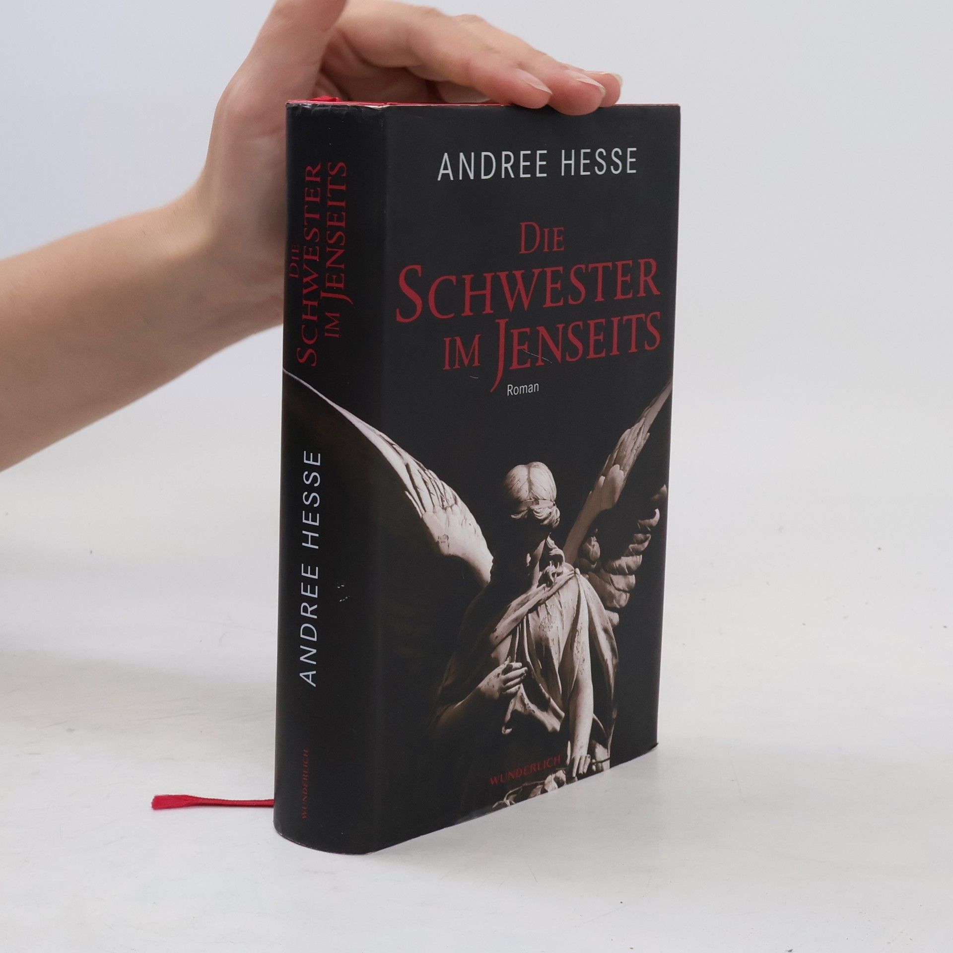 Andree Hesse Die Schwester im Jenseits