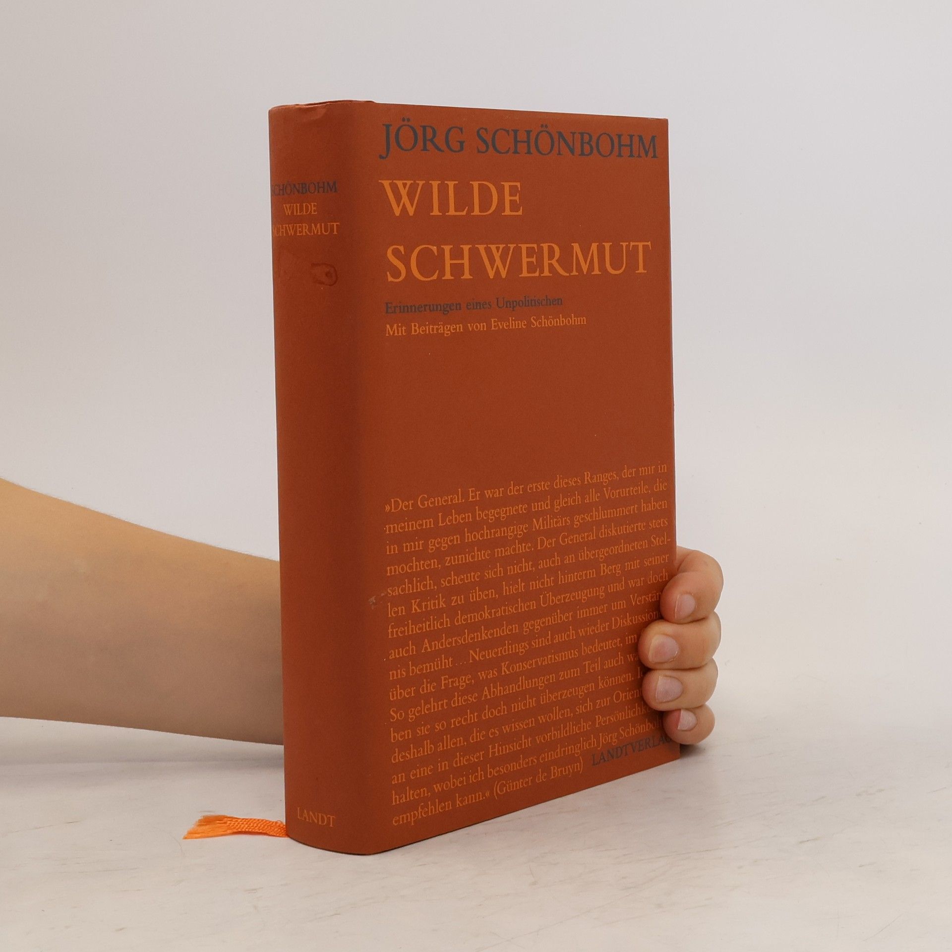 Jörg Schönbohm Wilde Schwermut