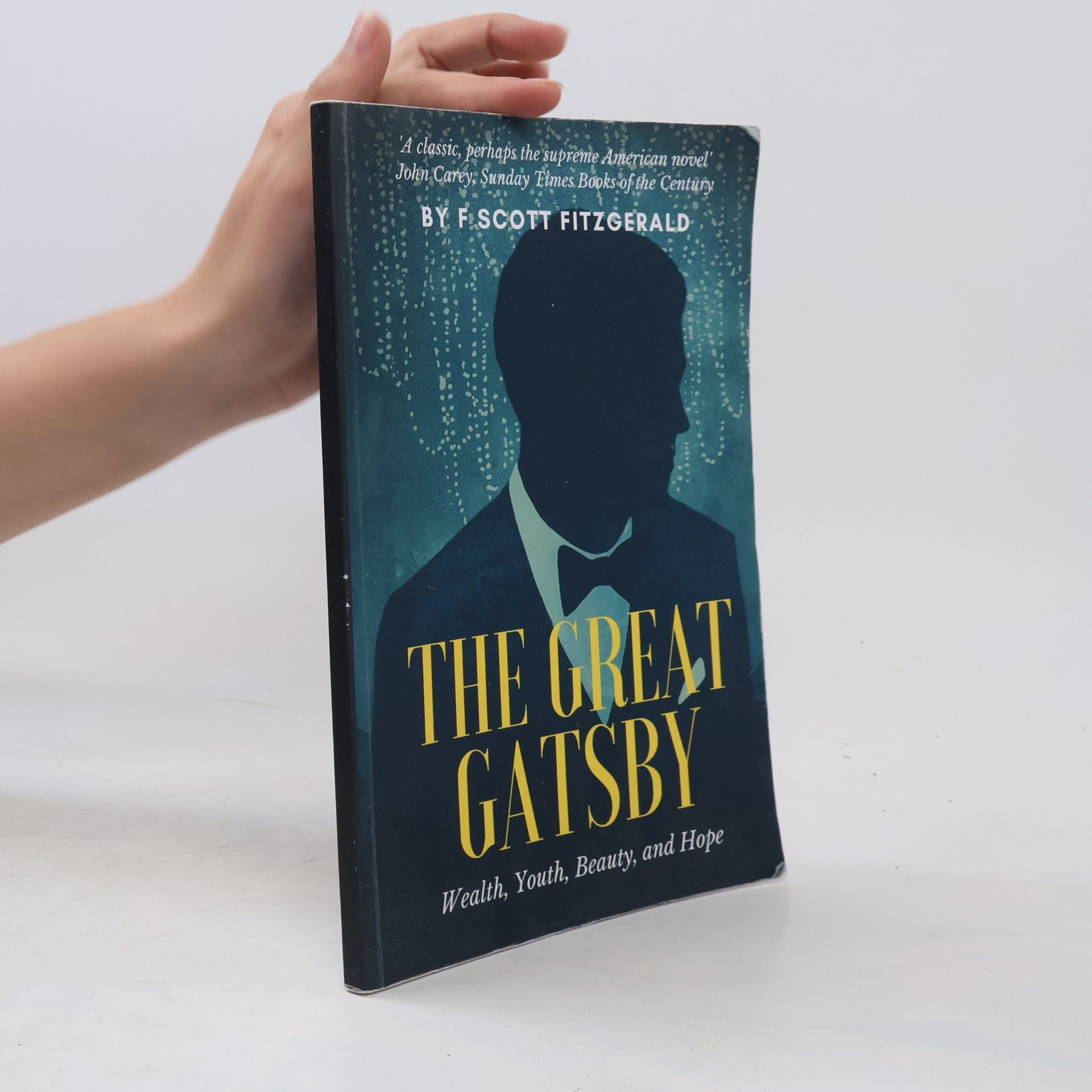 Francis Scott Fitzgerald The Great Gatsby