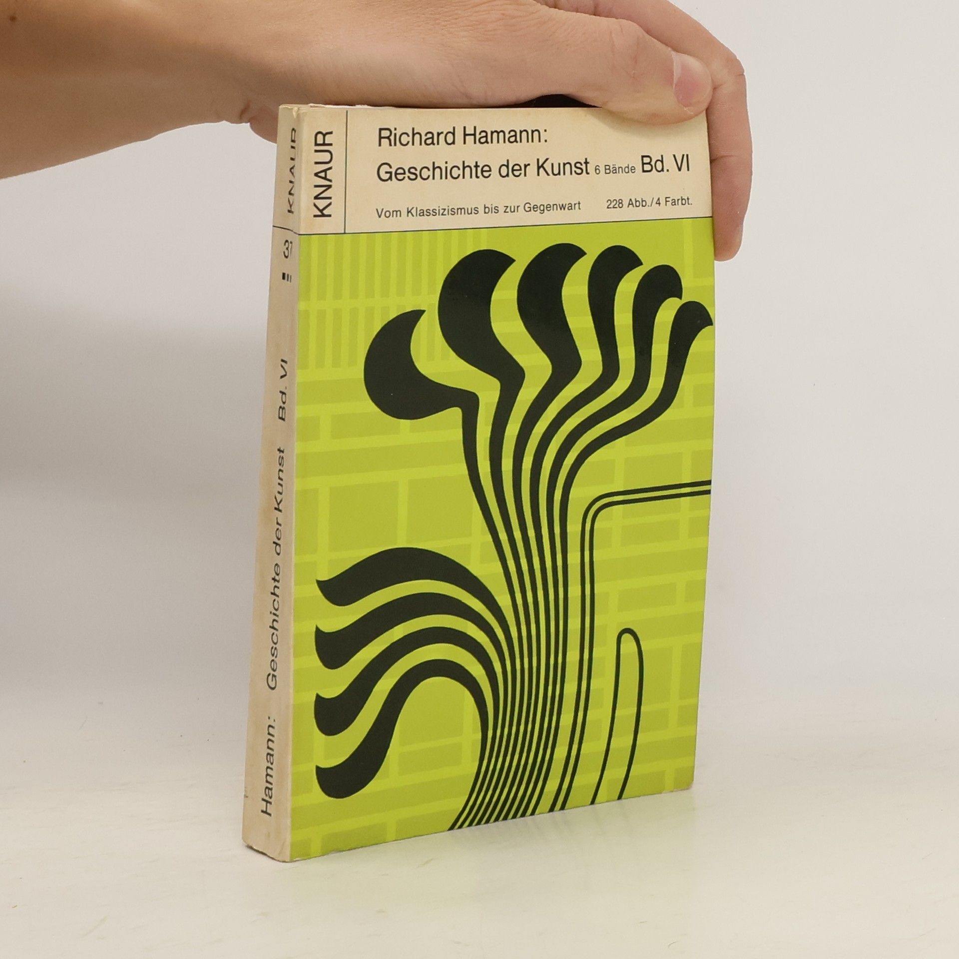 Richard Hamann Geschichte der Kunst VI.