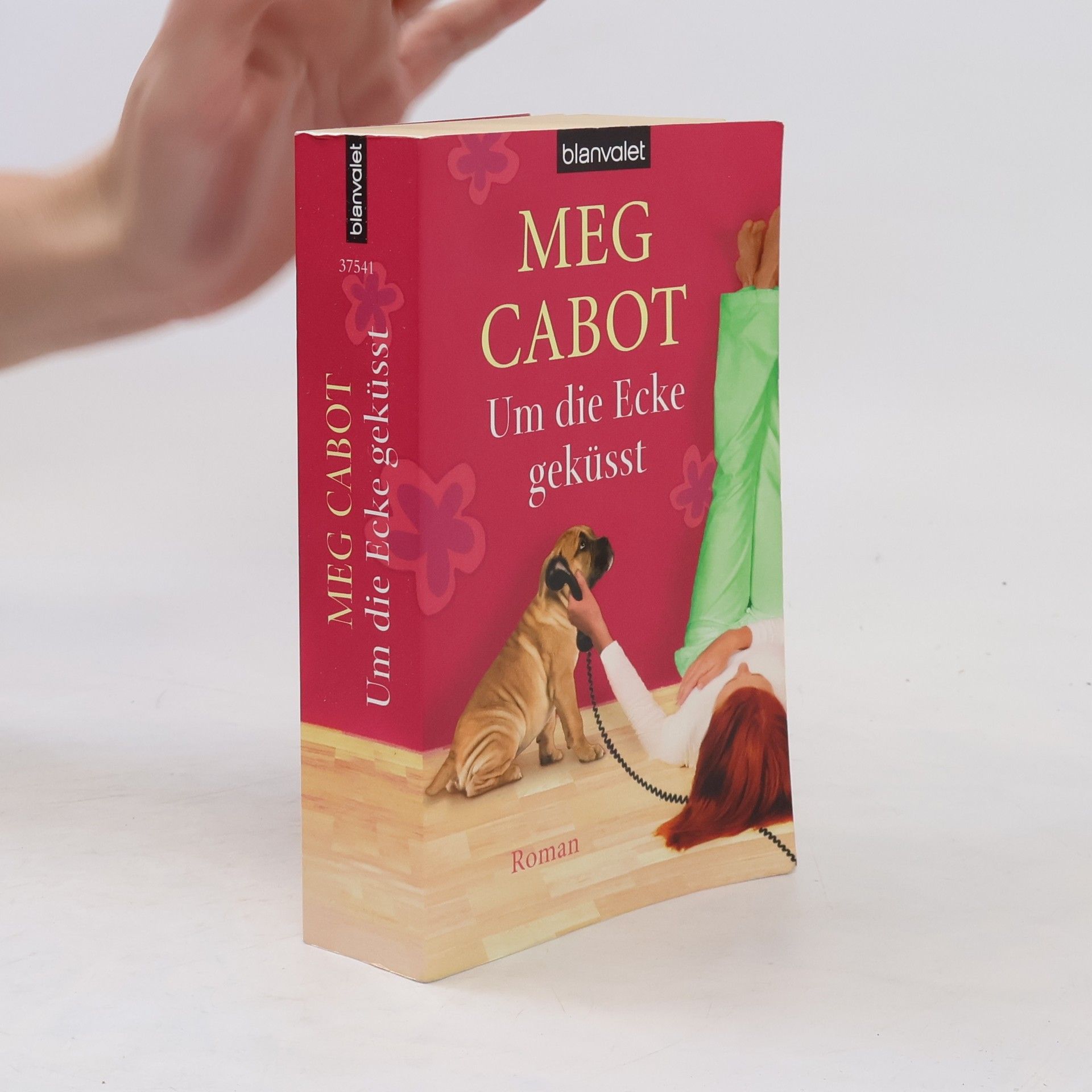 Meg Cabot Um die Ecke geküsst