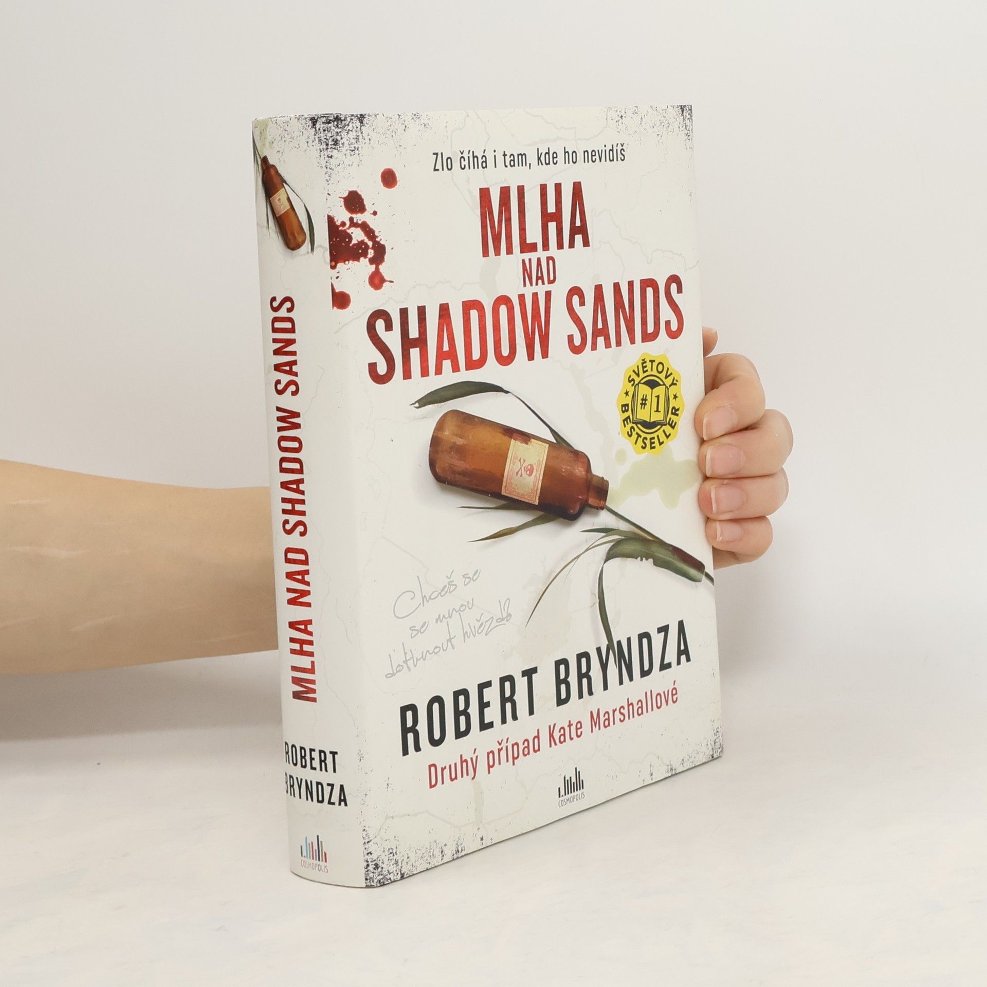 Robert Bryndza Mlha nad Shadow Sands