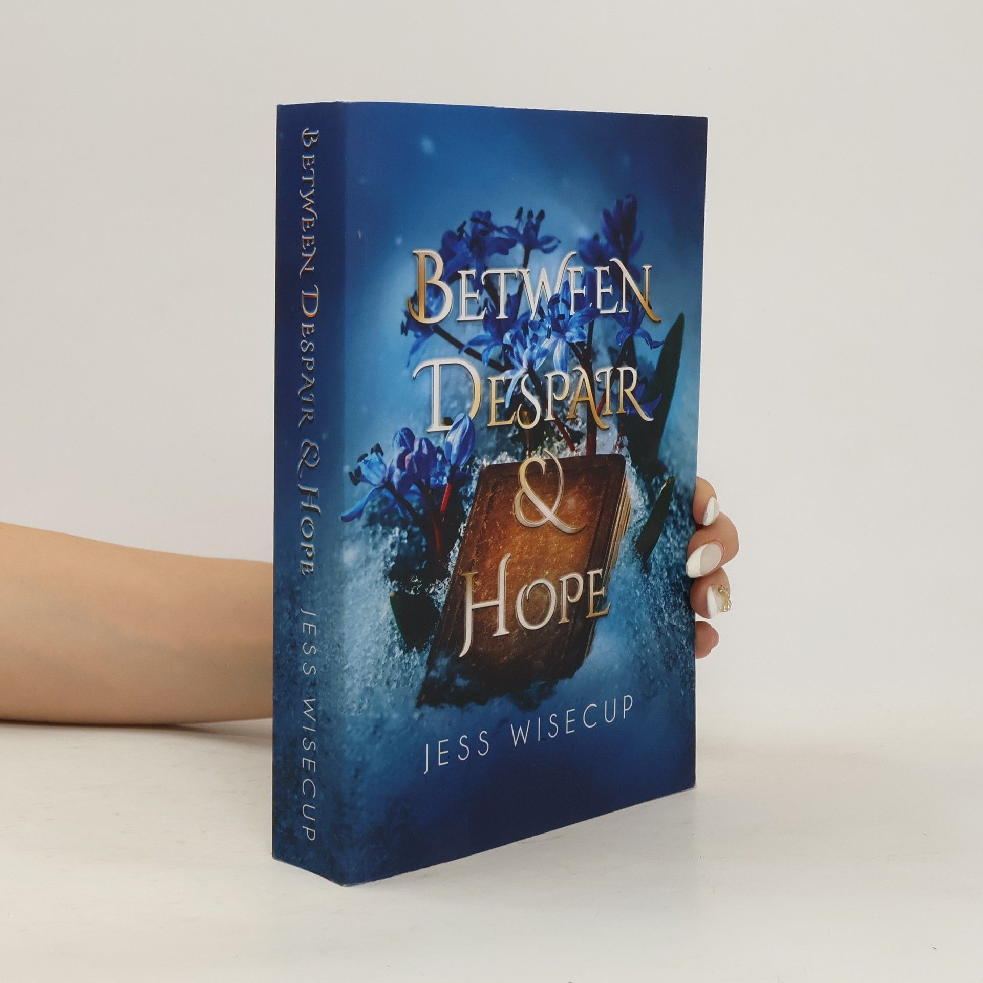 Jess Wisecup Between Despair and Hope