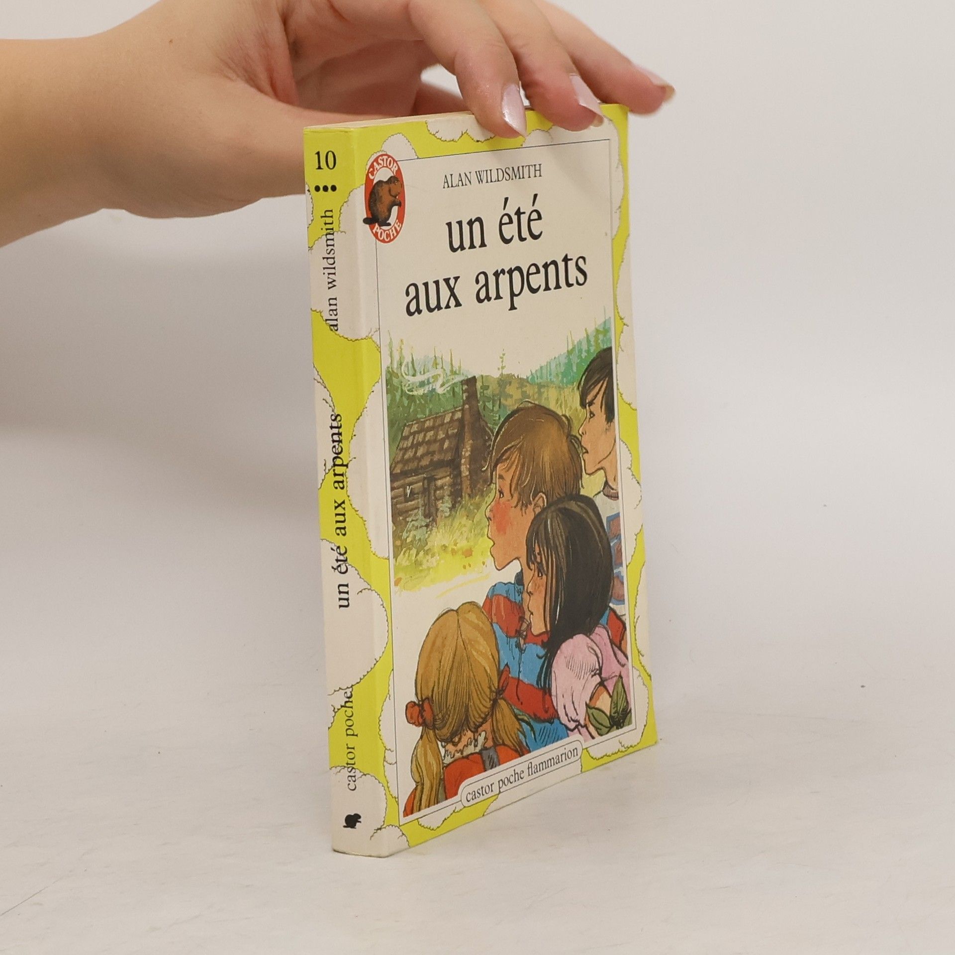 Alan Wildsmith Un été aux Arpents