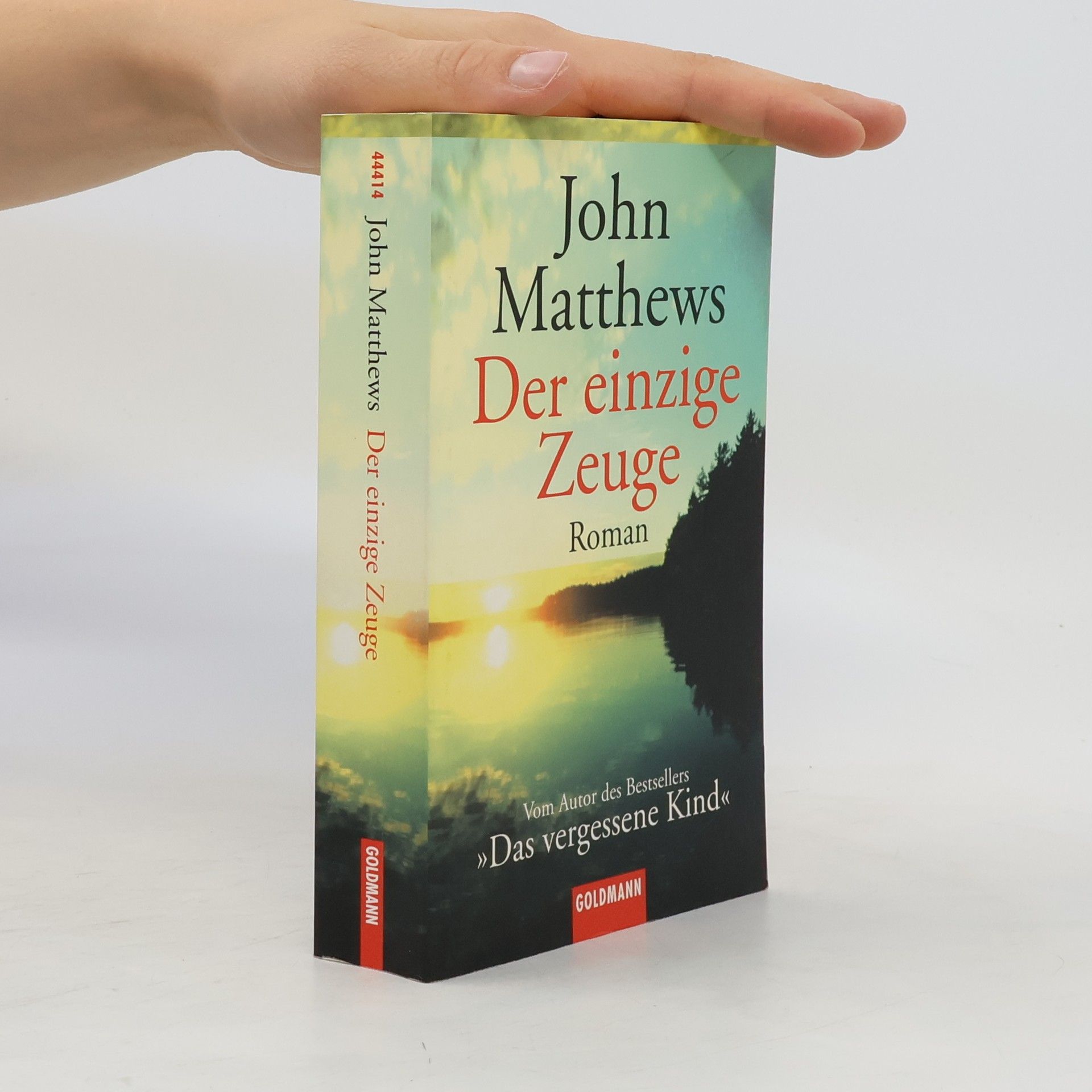 John Matthews Der einzige Zeuge