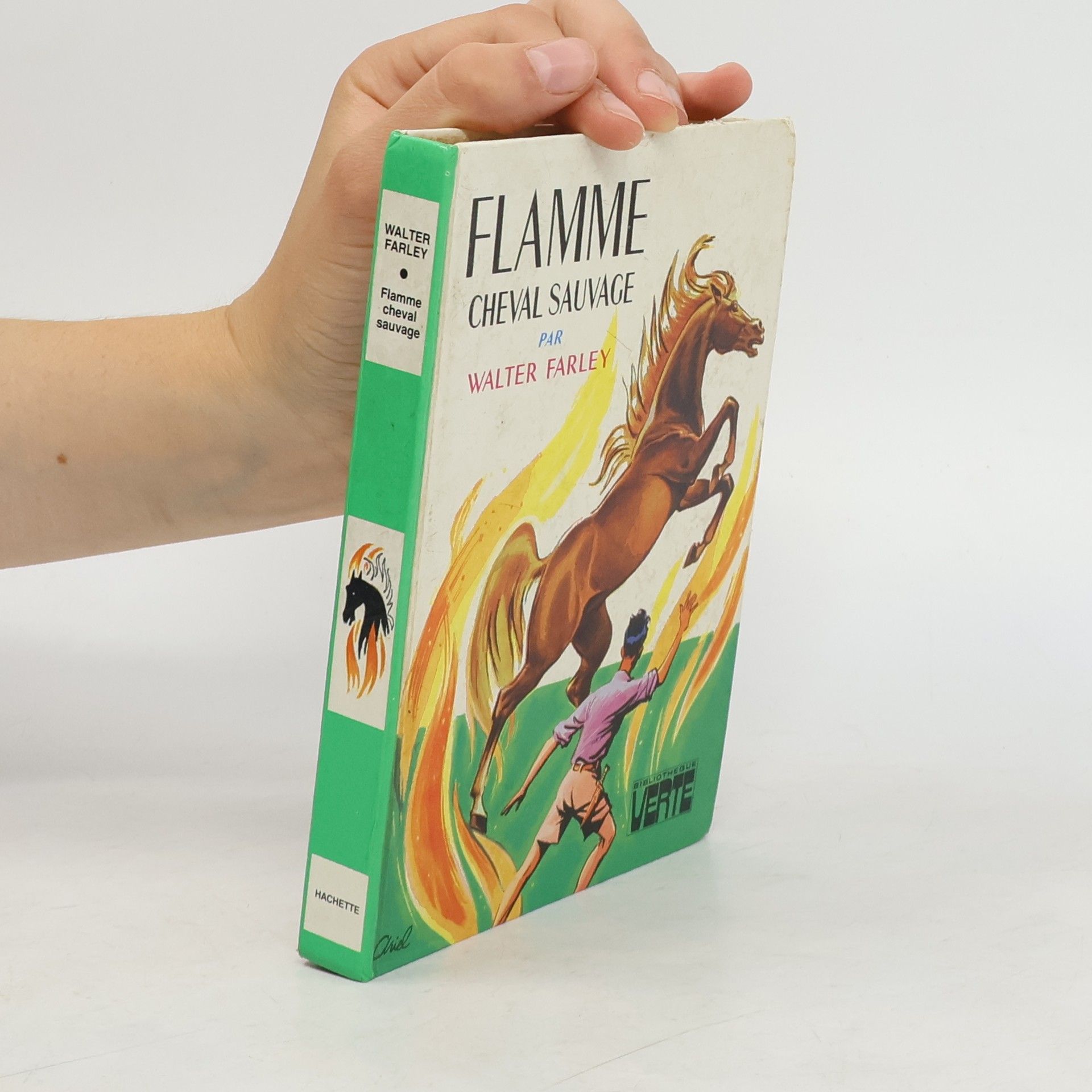 Walter Farley Flamme Cheval sauvage