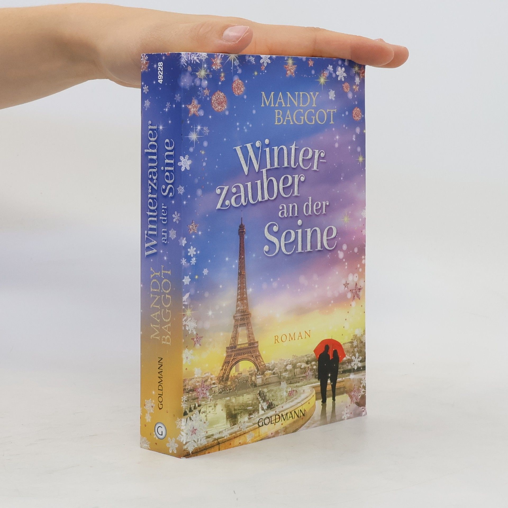 Mandy Baggot Winterzauber an der Seine