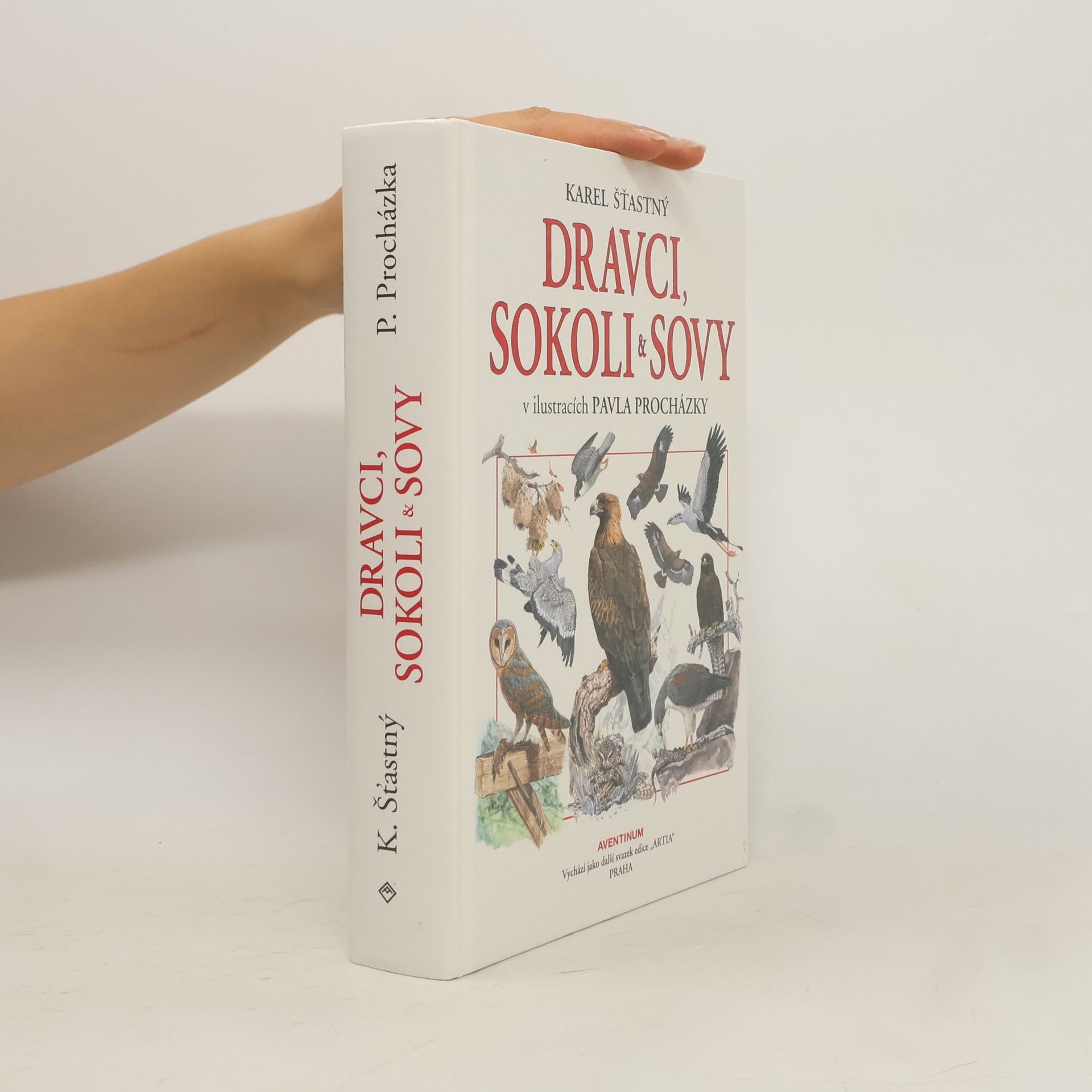 Karel Šťastný Dravci, sokoli & sovy: V ilustracích Pavla Procházky