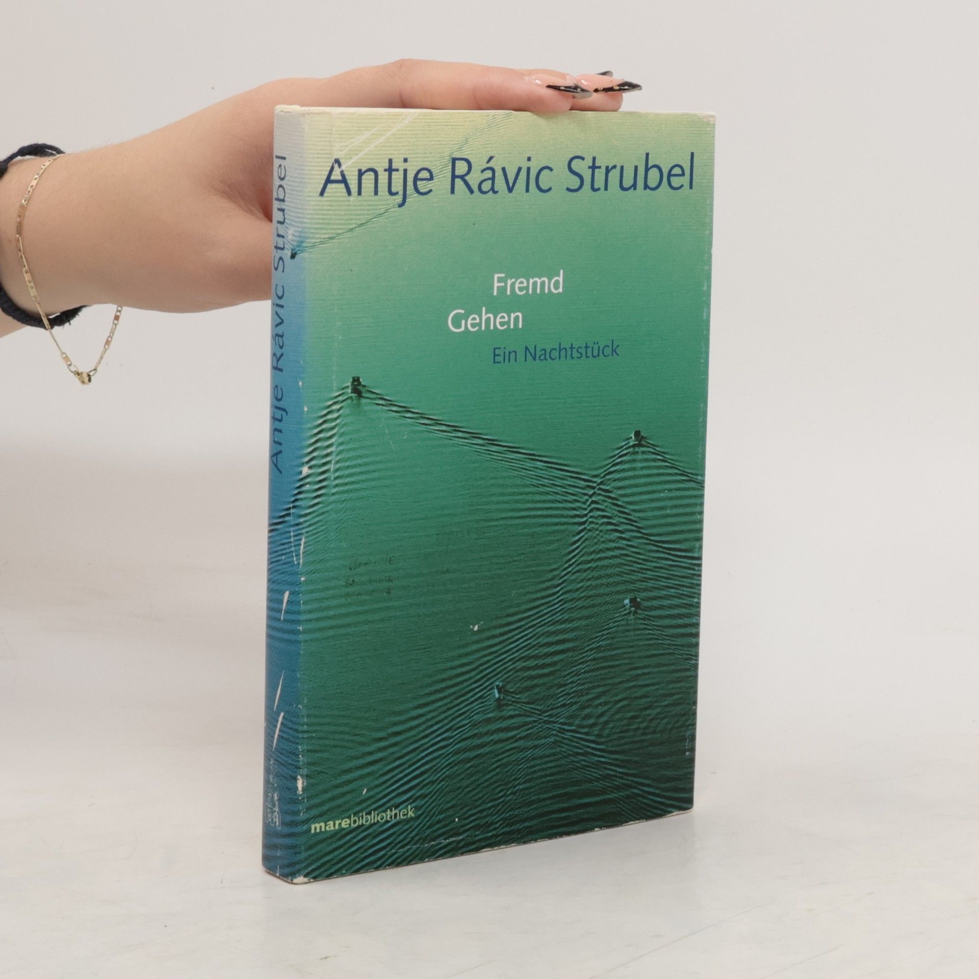 Antje Rávik Strubel Fremd gehen