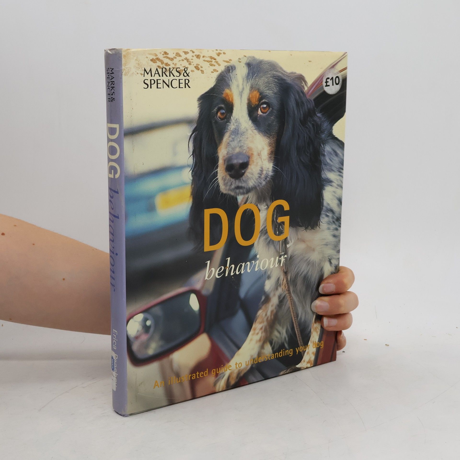 neuveden Dog Behaviour
