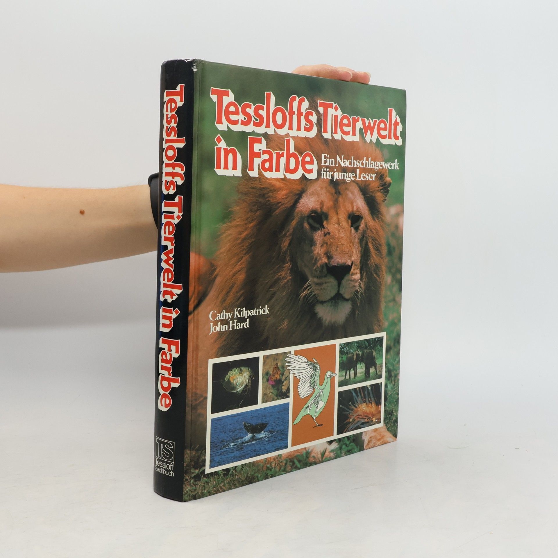 Cathy Kilpatrick Tessloffs Tierwelt in Farbe