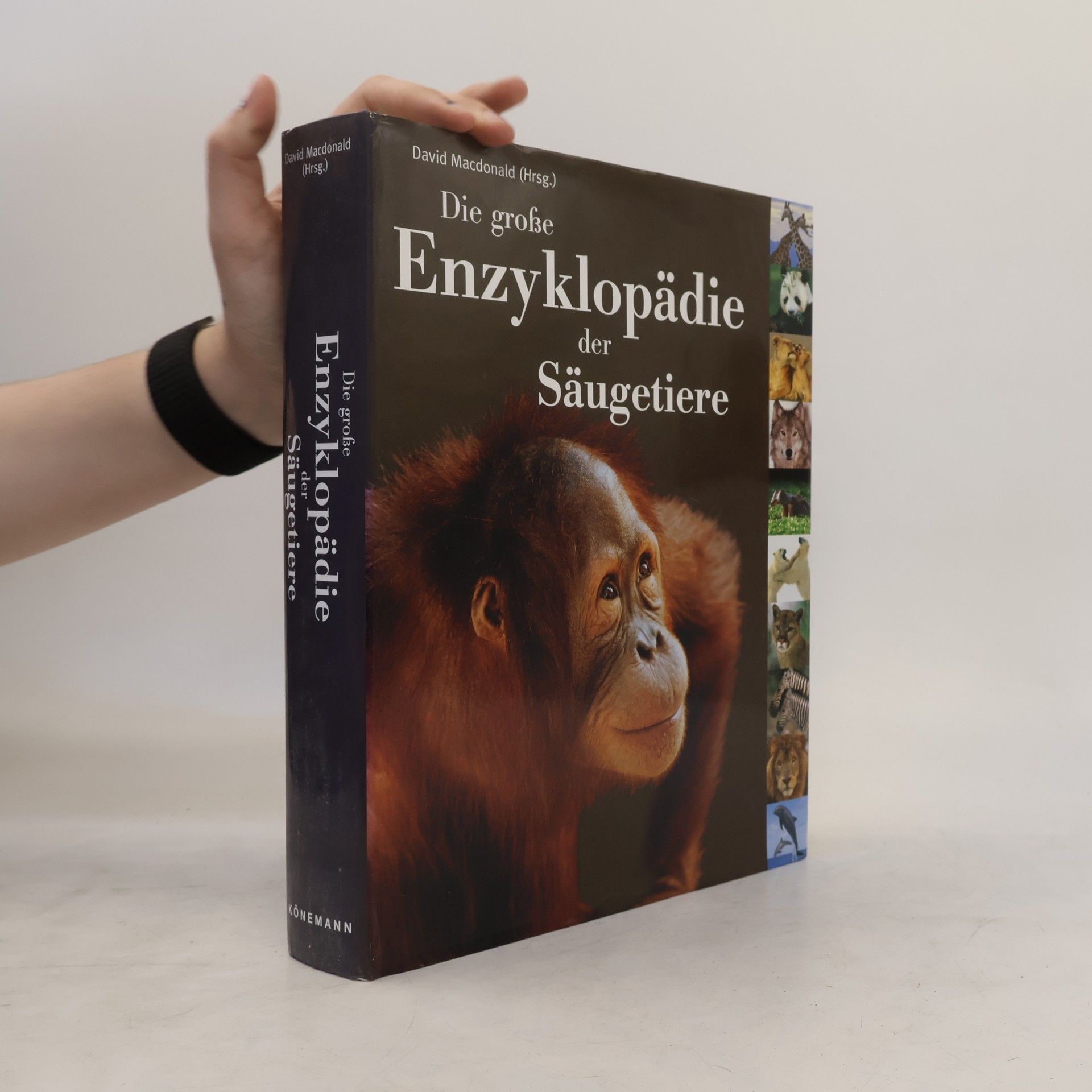 David Macdonald Die große Enzyklopädie der Säugetiere