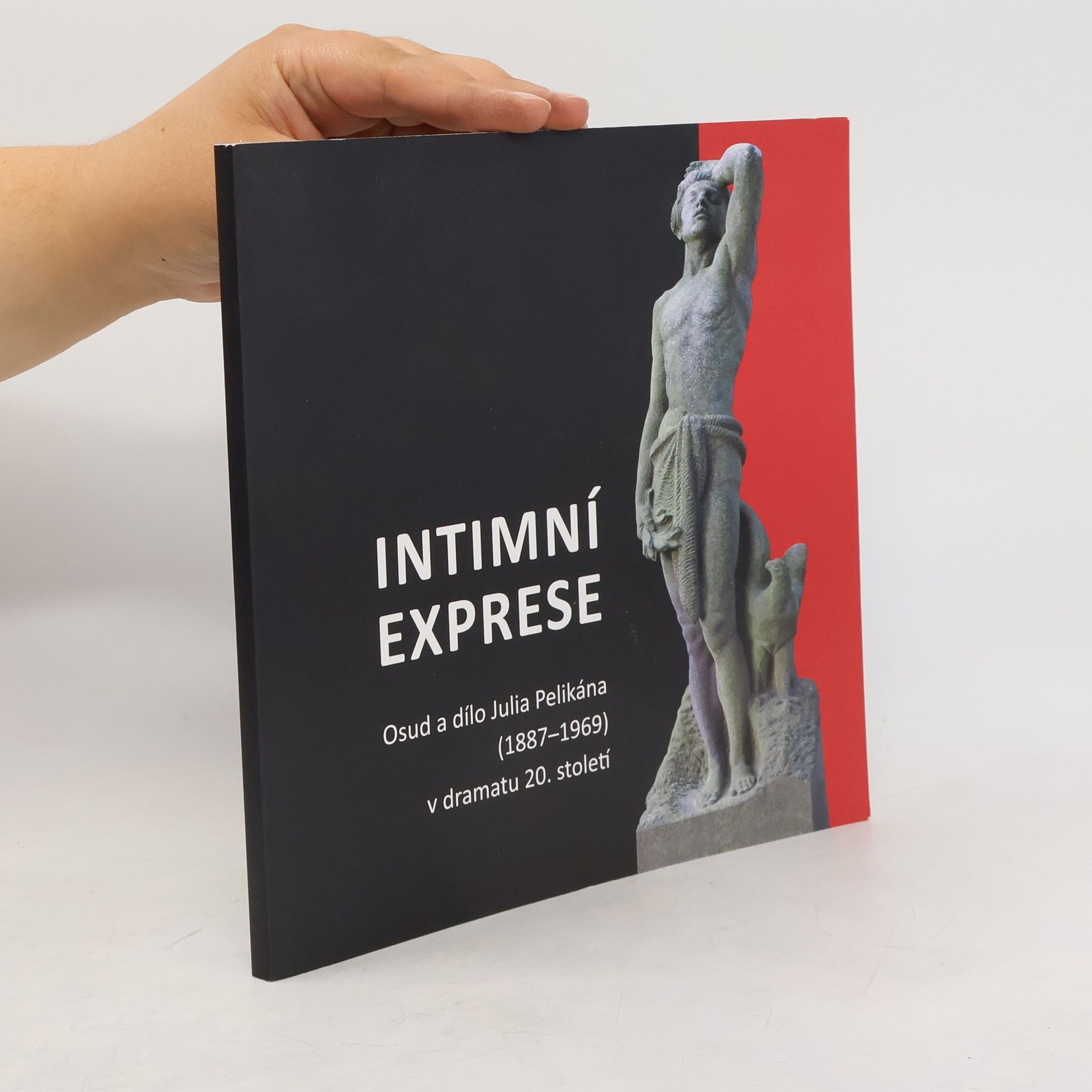 Mirek Vodrážka Intimní exprese
