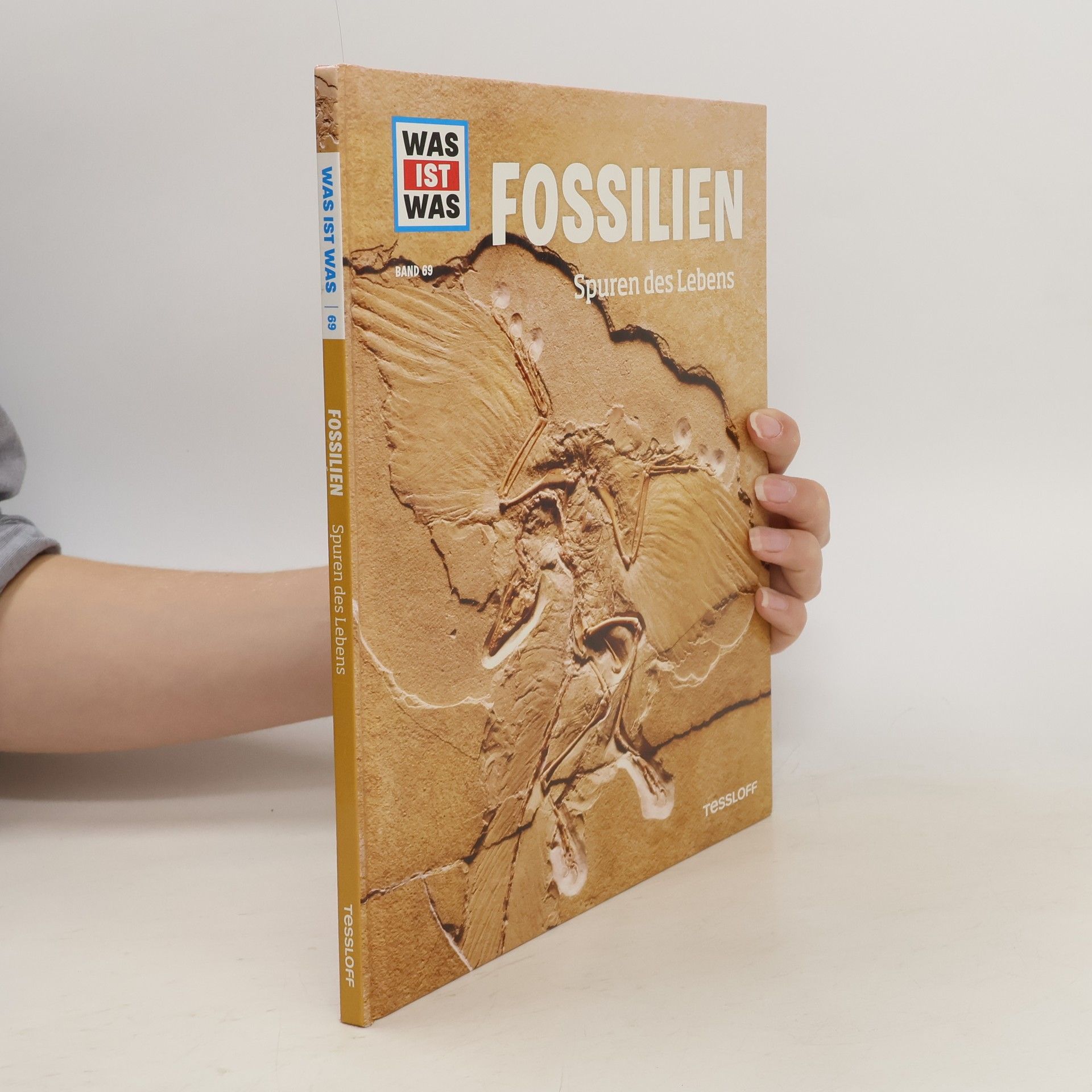 Dr. Manfred Baur Fossilien