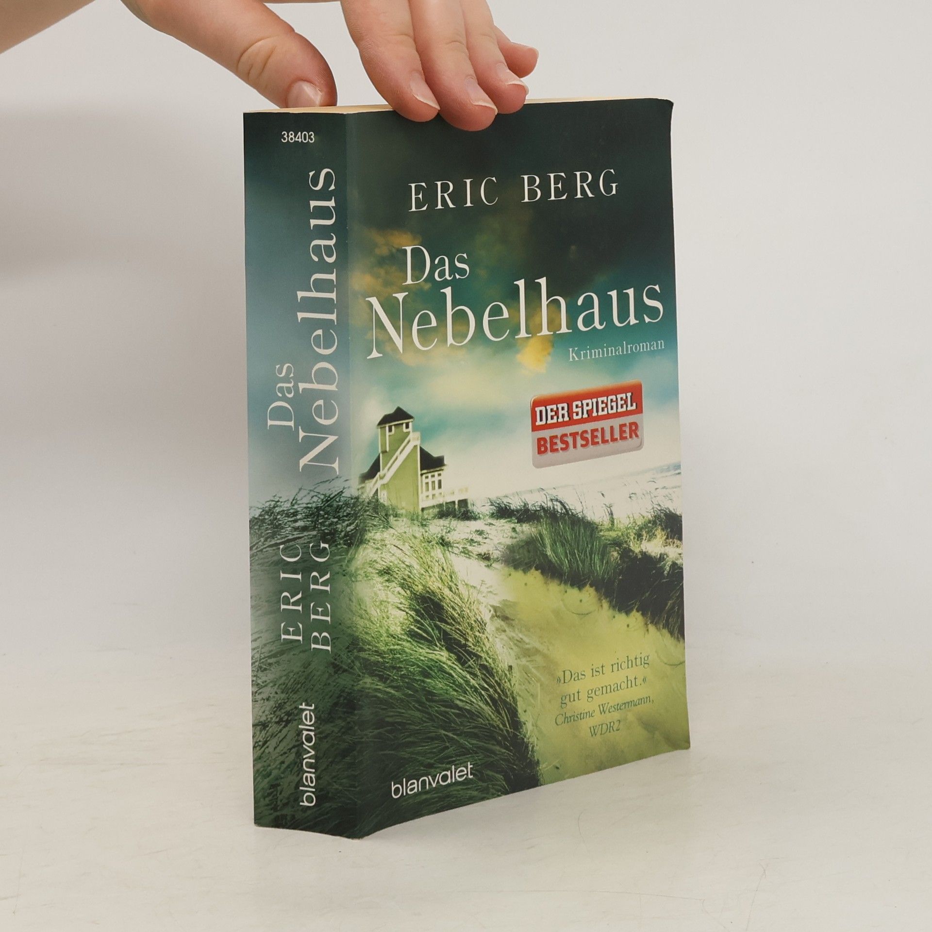 Eric Berg Das Nebelhaus