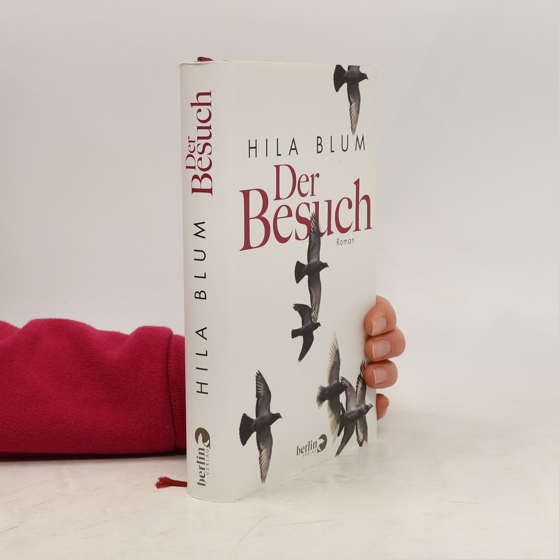 Hilah Blum Der Besuch