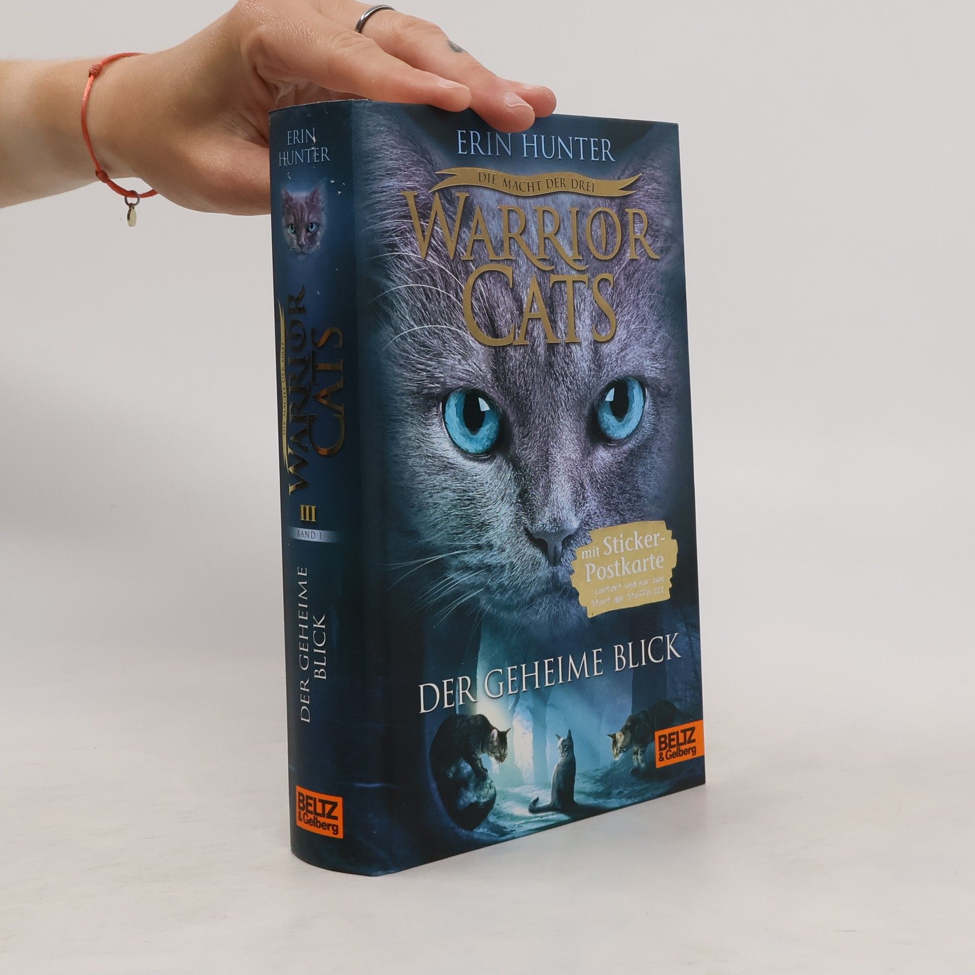 Erin Hunter Warrior Cats: Der geheime Blick
