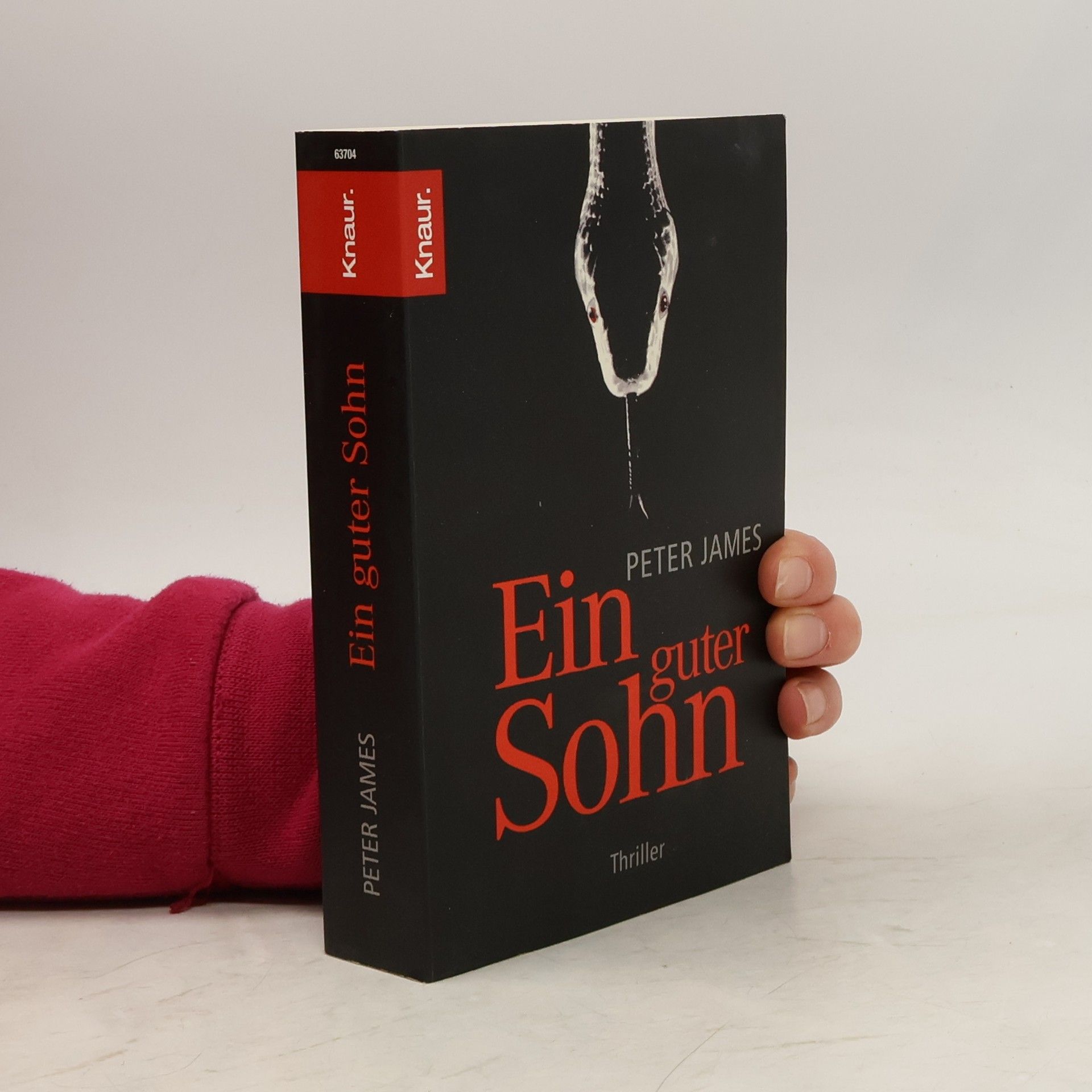 Peter James Ein guter Sohn