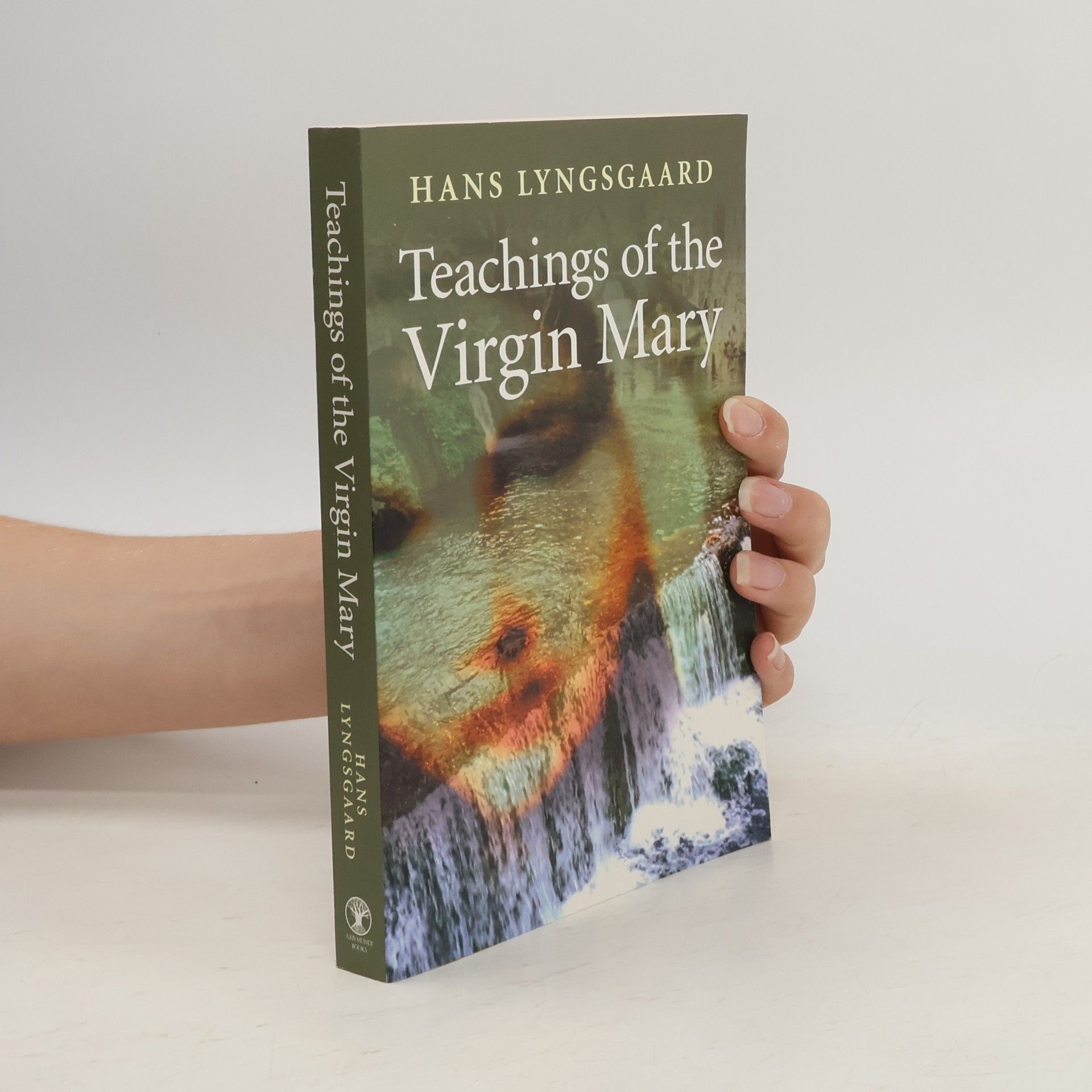 Hans Lyngsgaard Teachings of the Virgin Mary