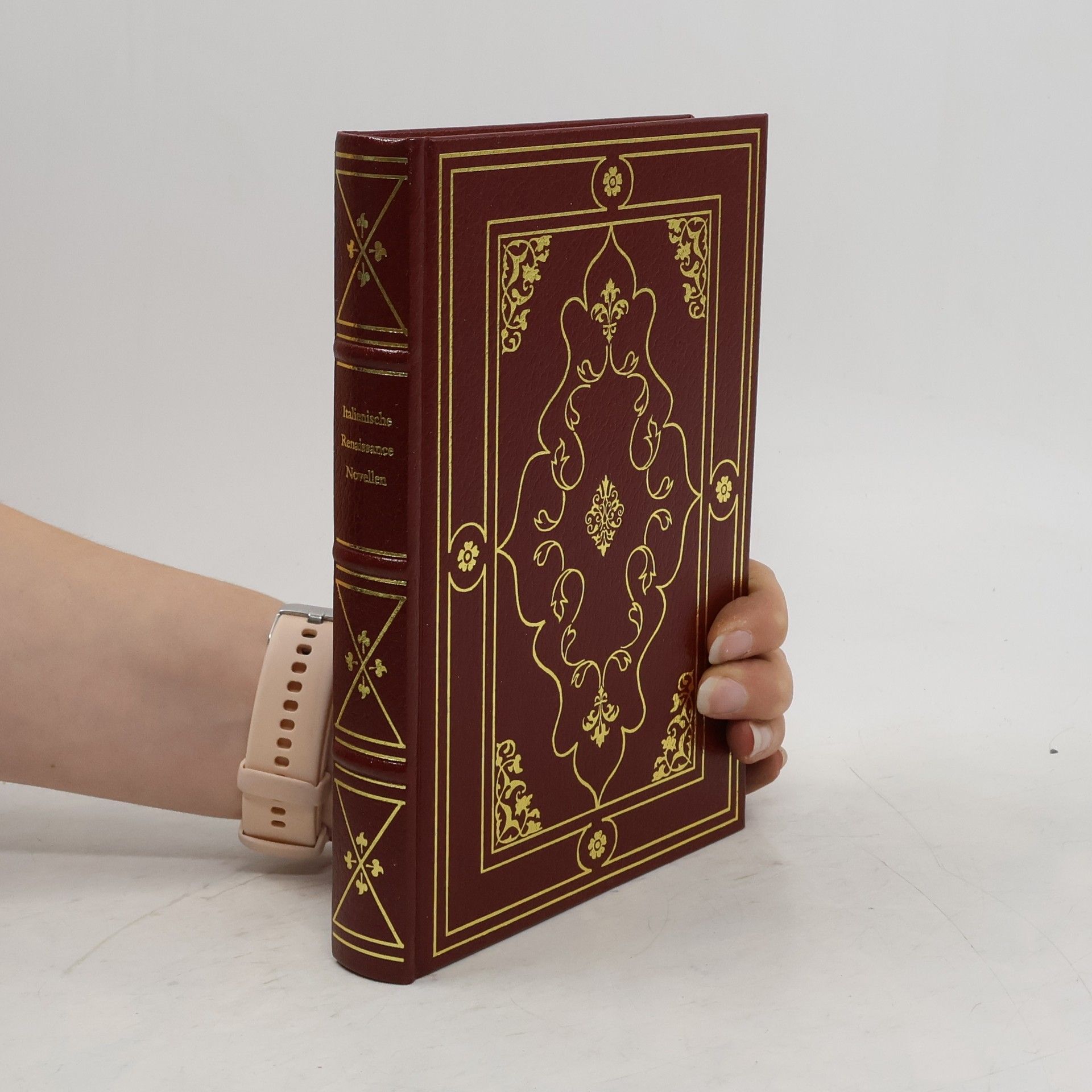 Mathias Jung Italienische Renaissance-Novellen