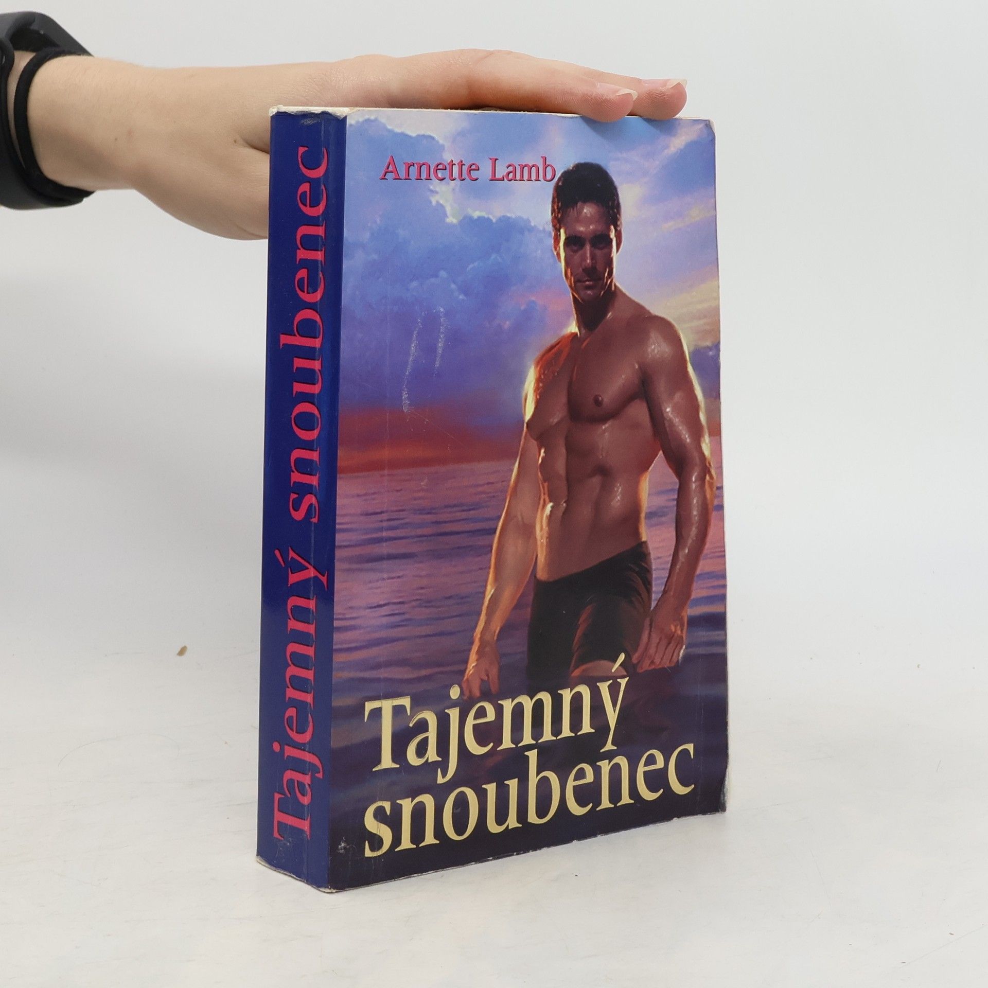 Arnette Lamb Tajemný snoubenec