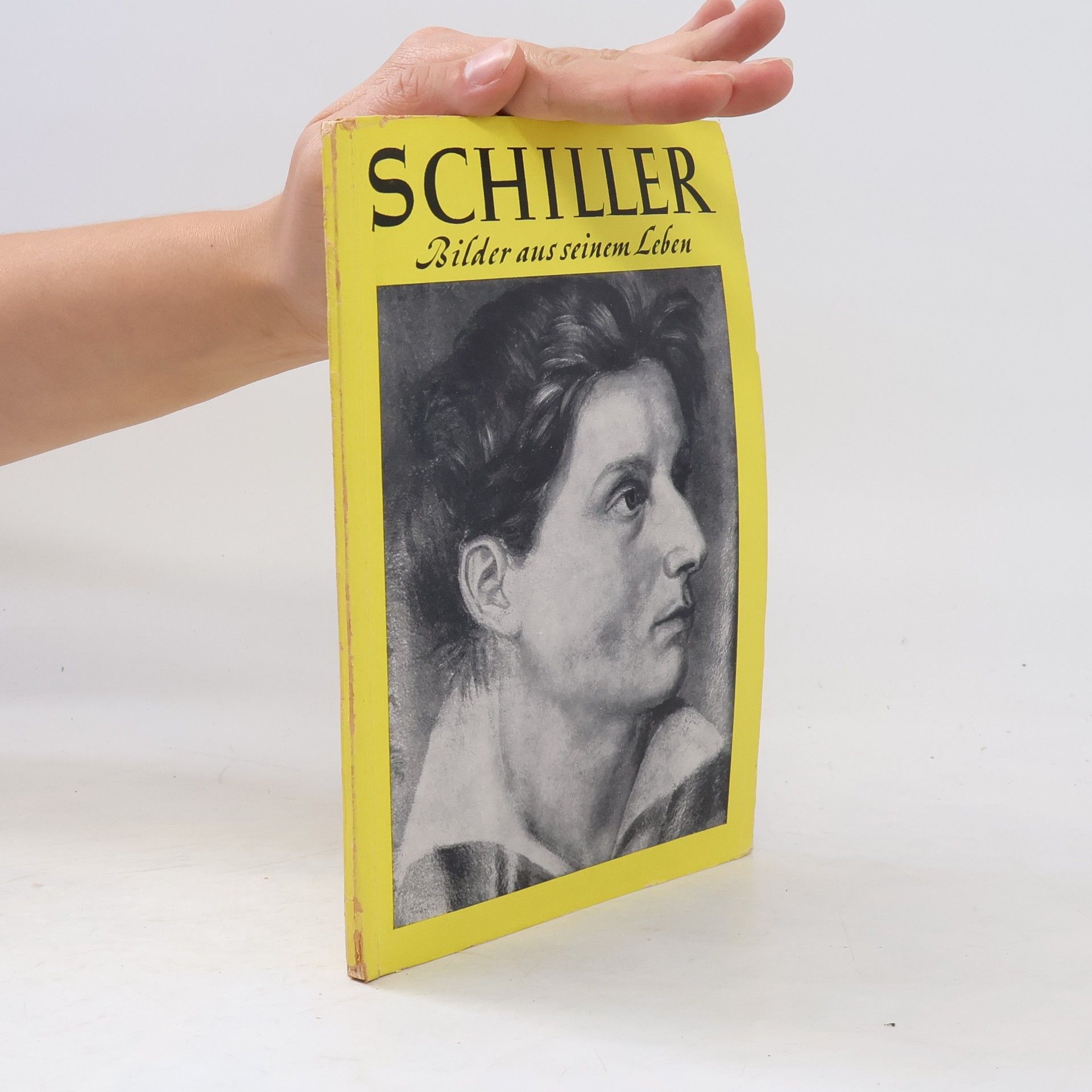 Hermann Binder Schiller. Bilder aus seinem Leben