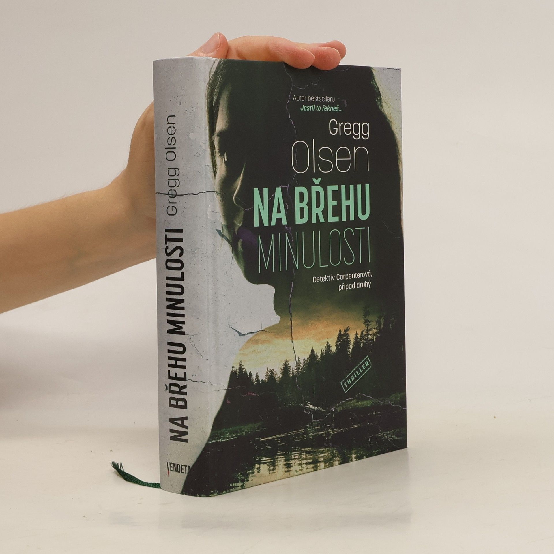 Gregg Olsen Na břehu minulosti