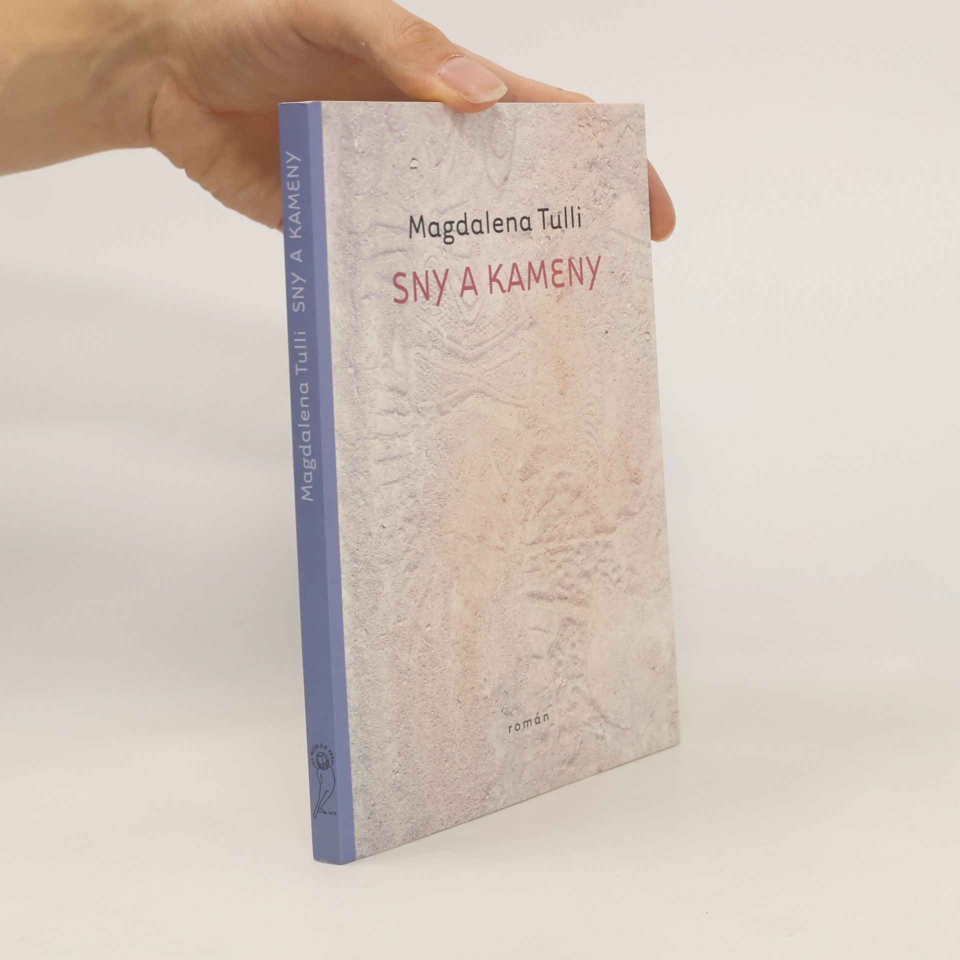 Magdalena Tulli Sny a kameny