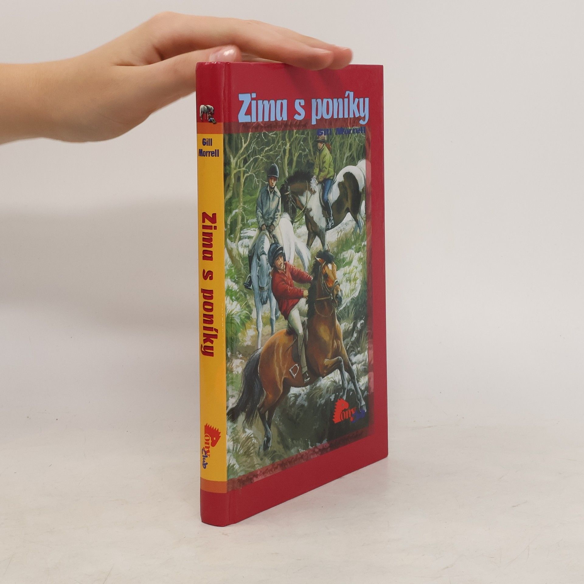 Gill Morrell Zima s poníky