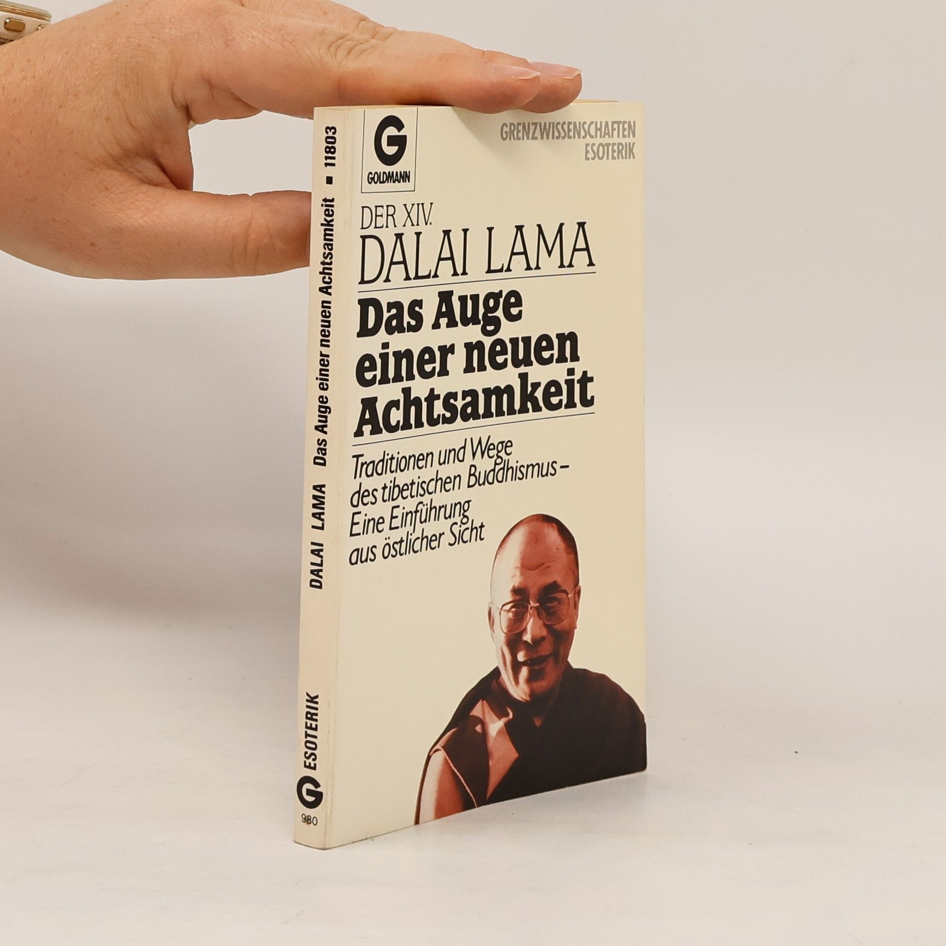 Tändzin Gjamccho Das Auge einer neuen Achtsamkeit
