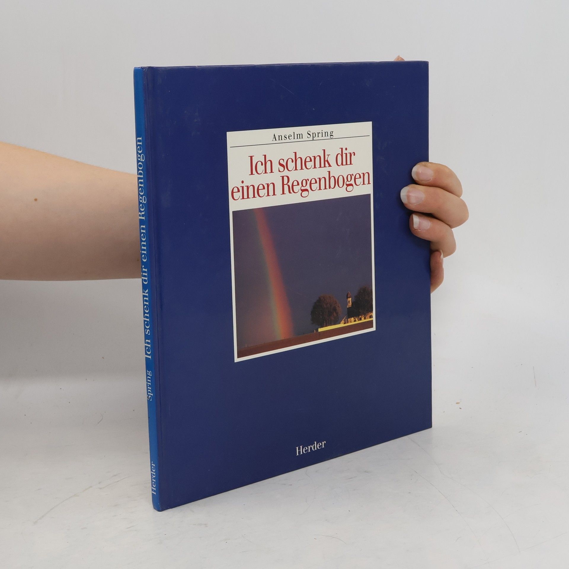 Anselm Spring Ich schenk dir einen Regenbogen