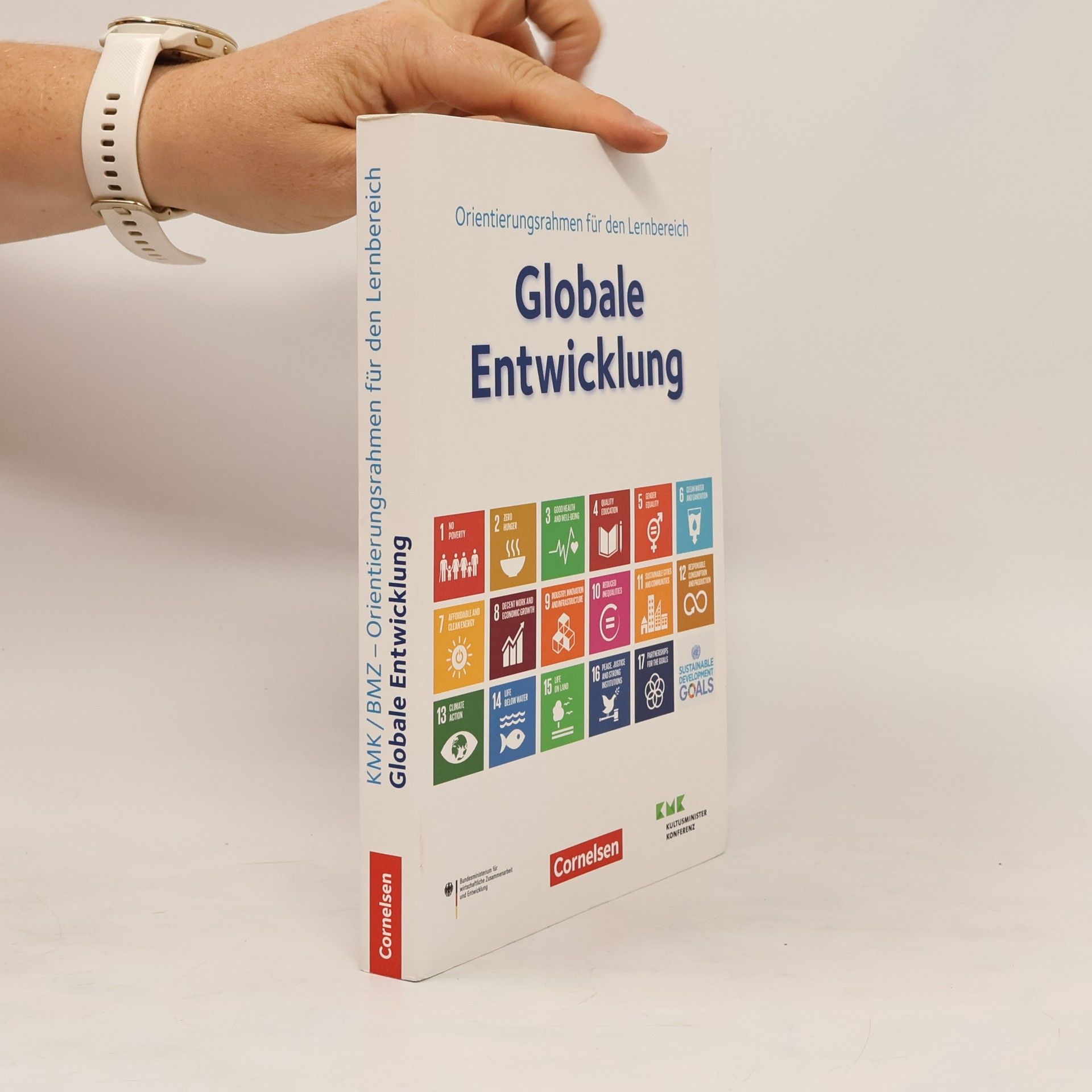 Jörg-Robert Schreiber Orientierungsrahmen für den Lernbereich globale Entwicklung im Rahmen einer Bildung für nachhaltige Entwicklung