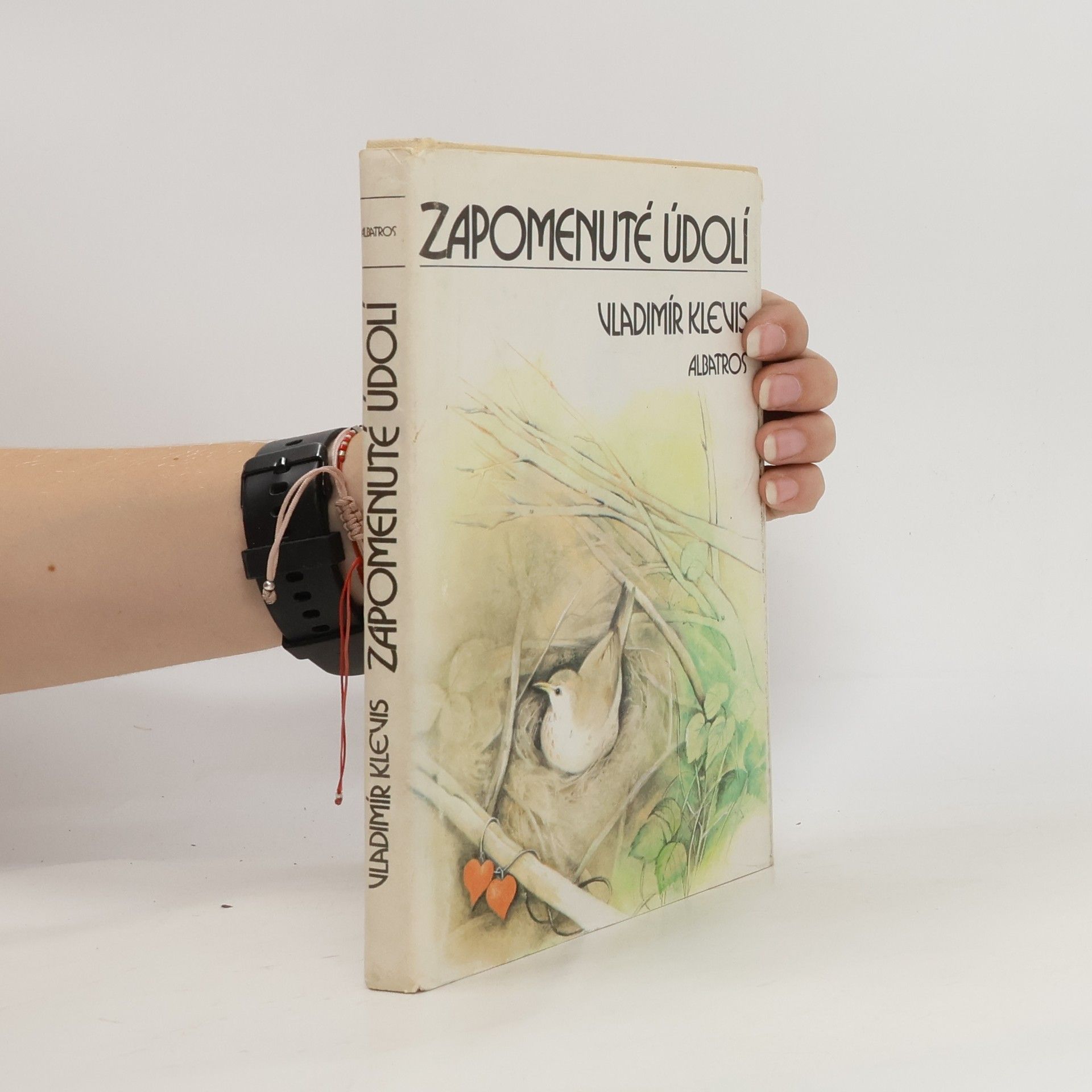 Vladimír Klevis Zapomenuté údolí
