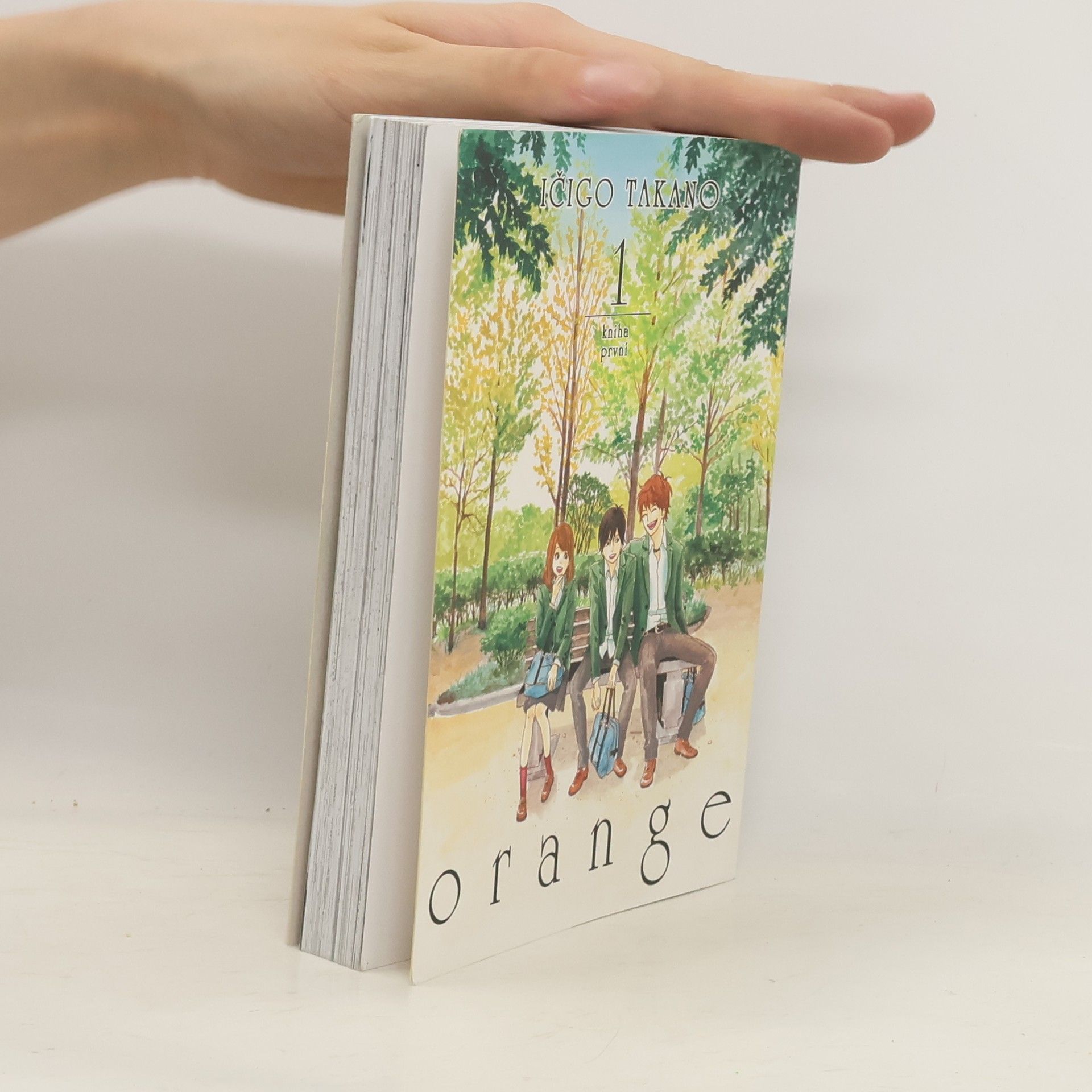 Ičigo Takano Orange 1