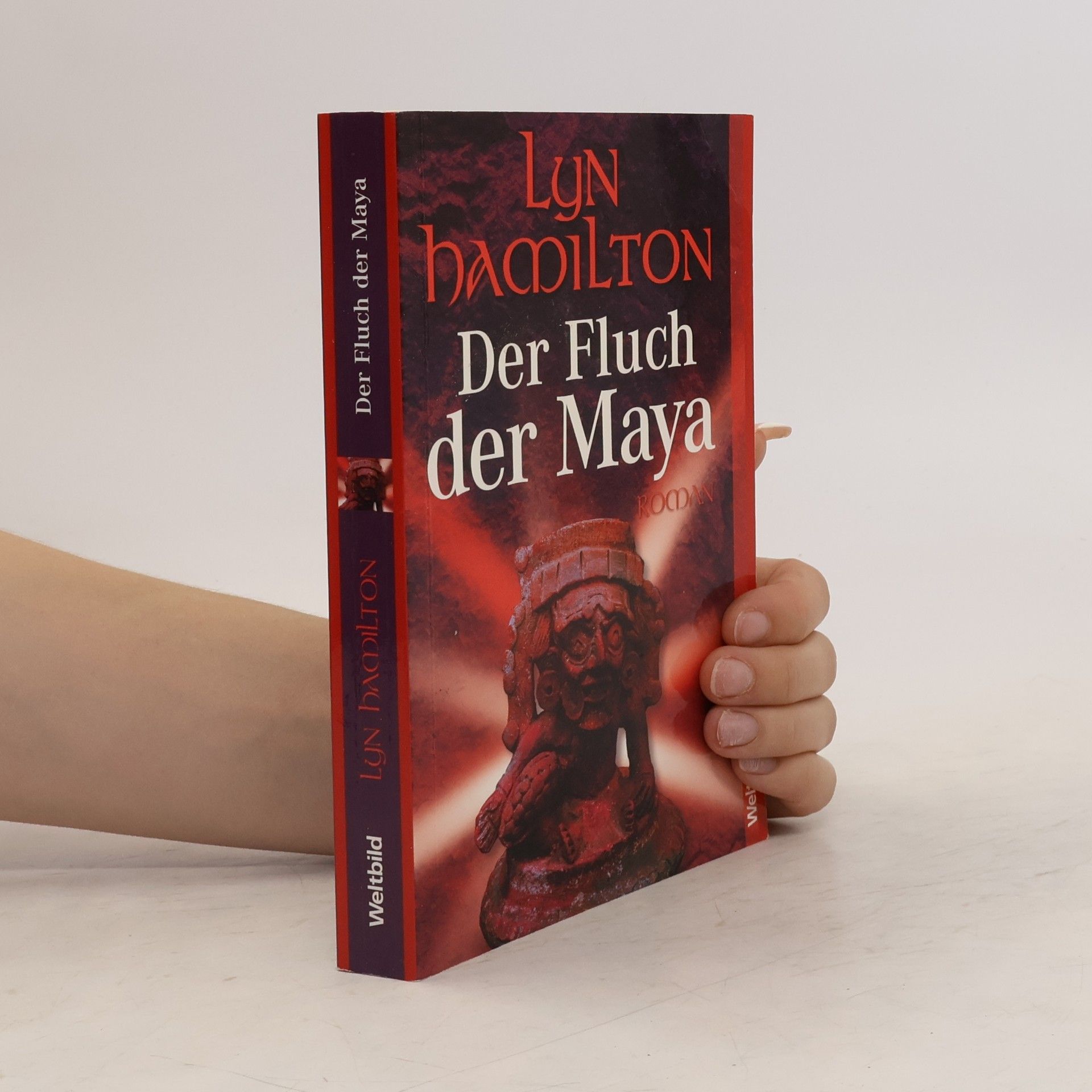 Lyn Hamilton Der Fluch der Maya