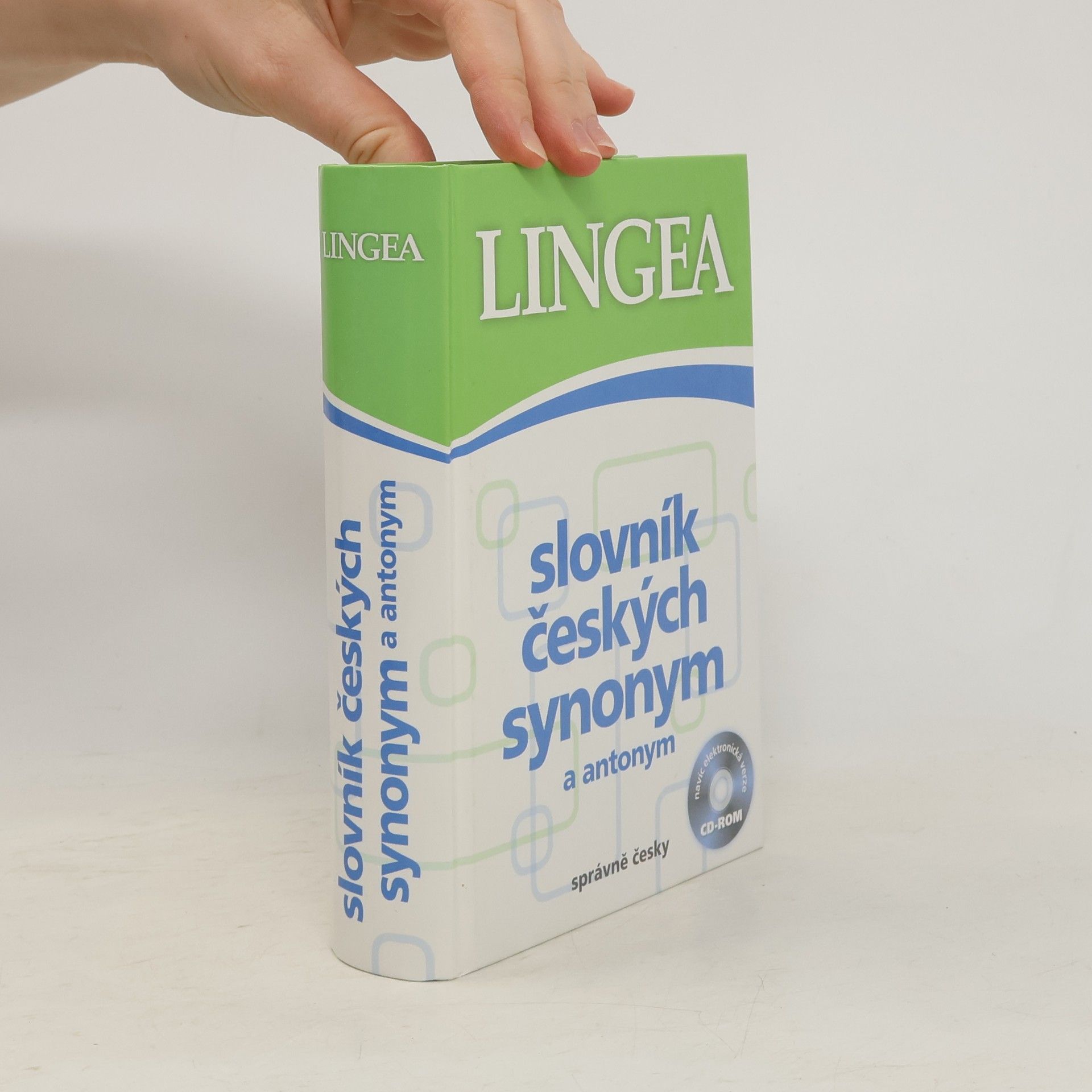 Autorenkollektiv Slovník českých synonym a antonym