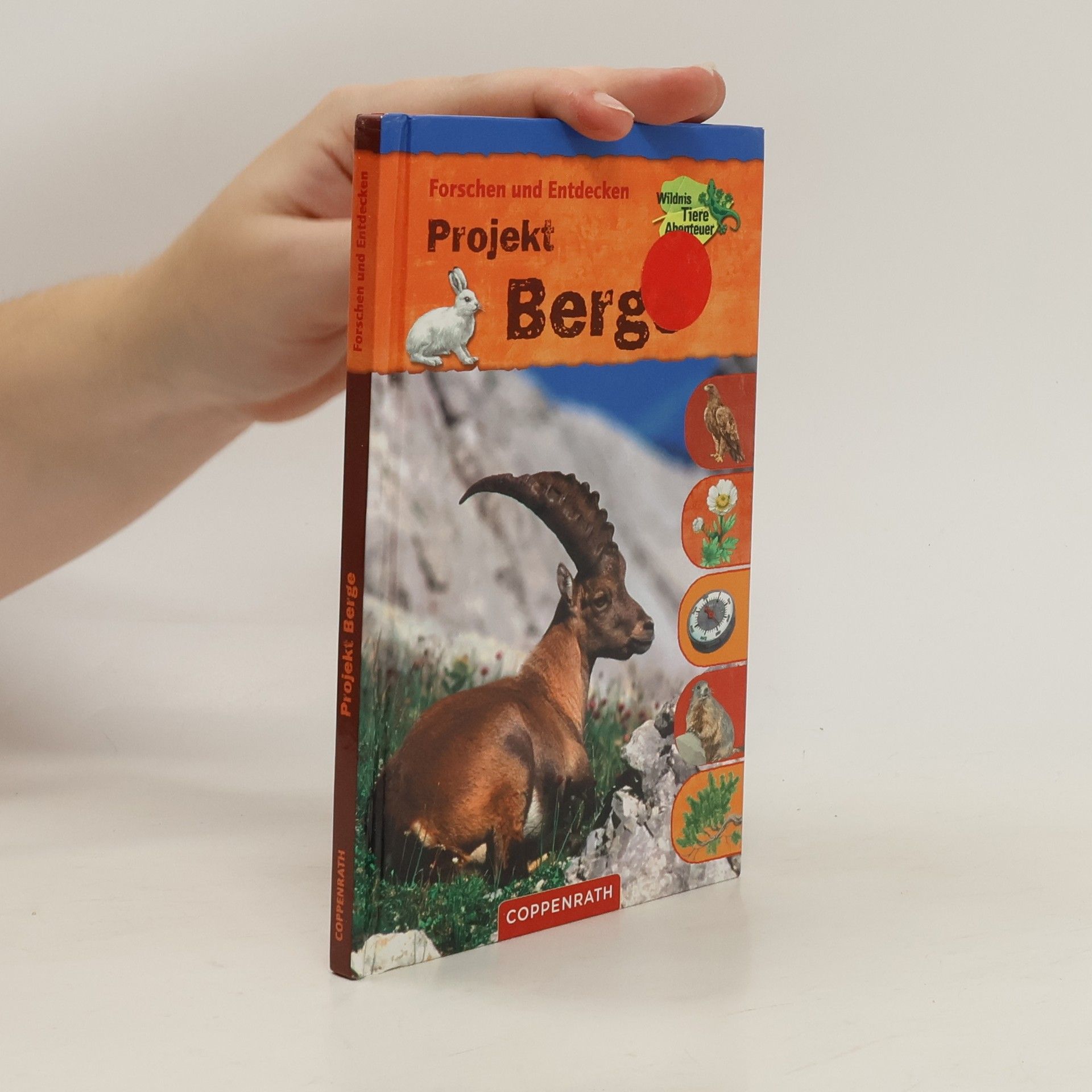 Holger Haag Forschen und Entdecken. Projekt Berge